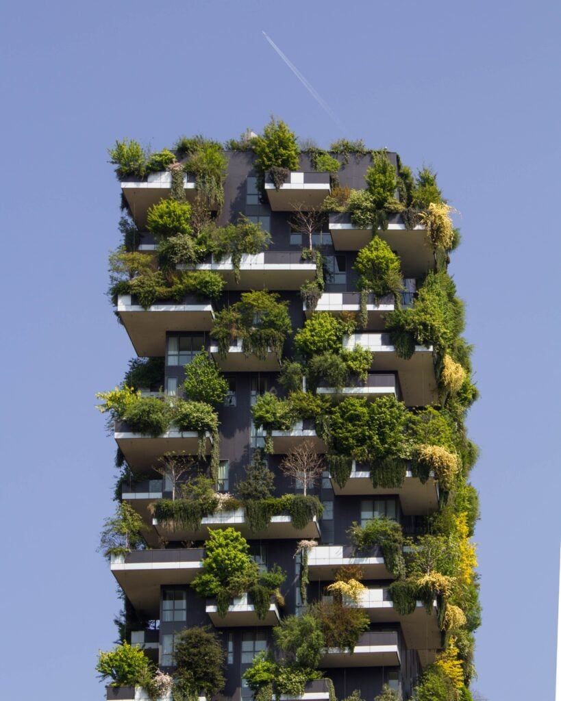 819x1024 A Beginner's Guide To The Art Of Brutalism With Plants. Jay Scotts Collection