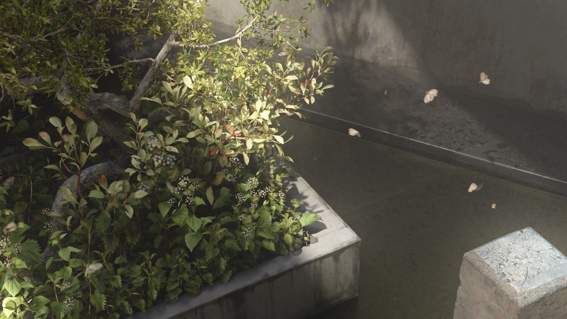 1920x1080 ECO BRUTALISM