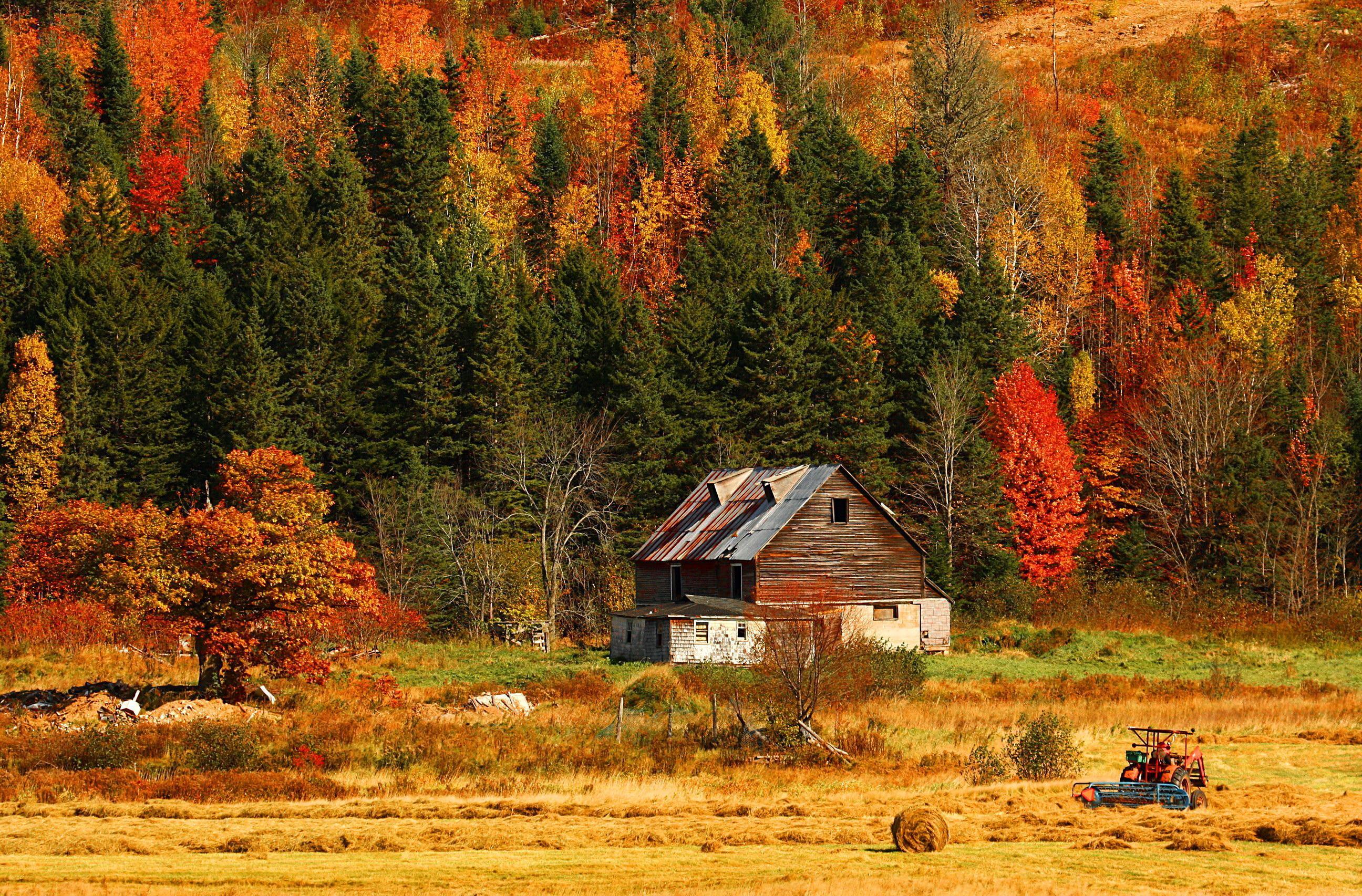 2592x1706 Hut in autumn mountain HD desktop wallpaper : Widescreen : High
