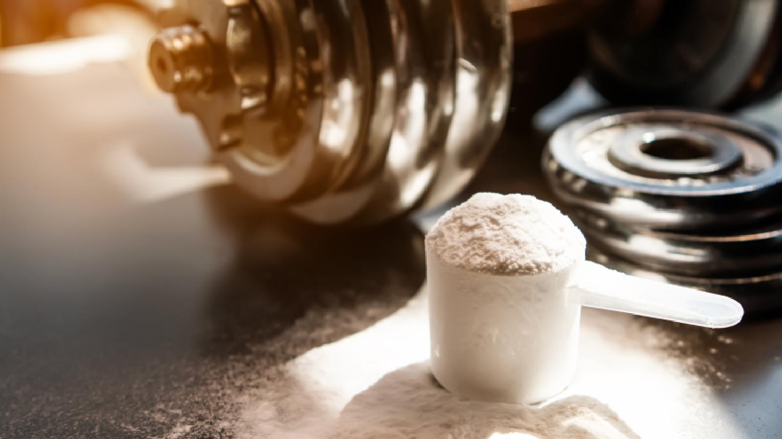1600x900 Homemade protein powder for weight loss and muscle gain