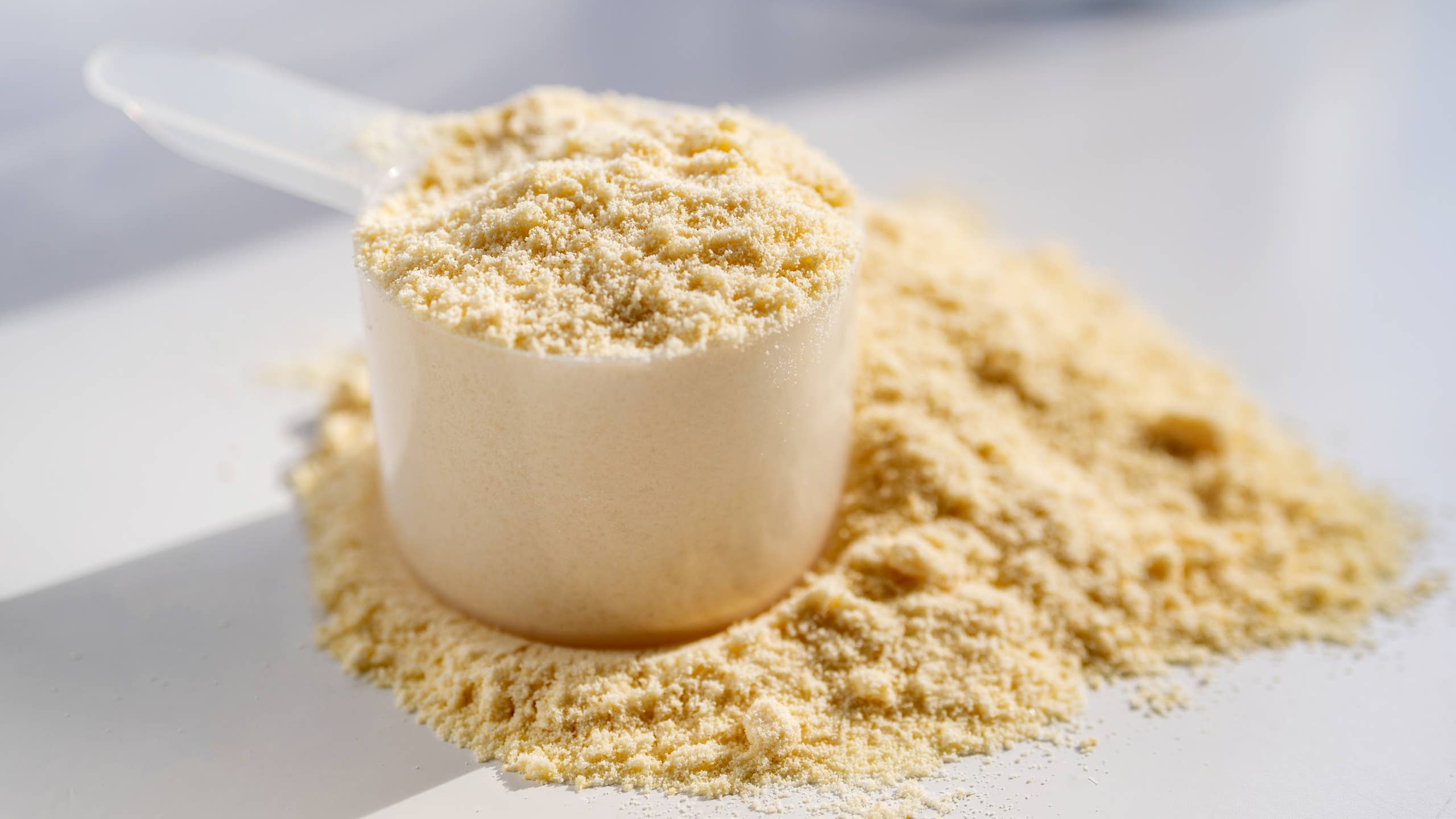 2560x1440 Everything You Need To Know About Casein Protein Powder's Fitness
