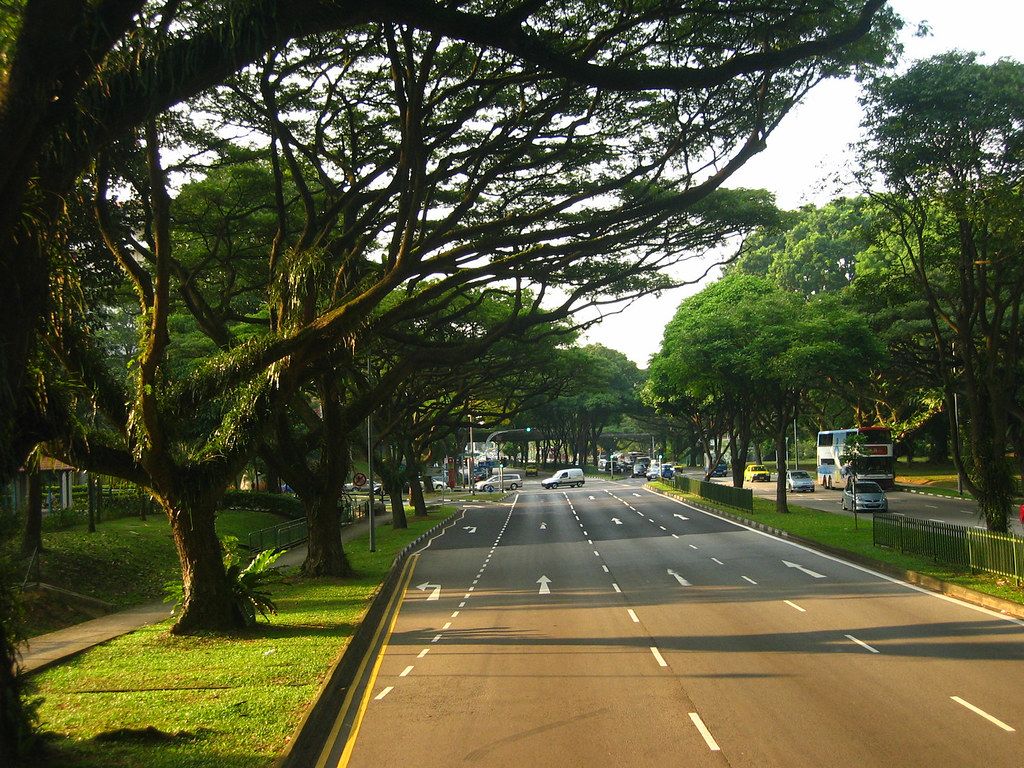 1024x768 Tree Lined Streets. Singapore is called the garden city wit