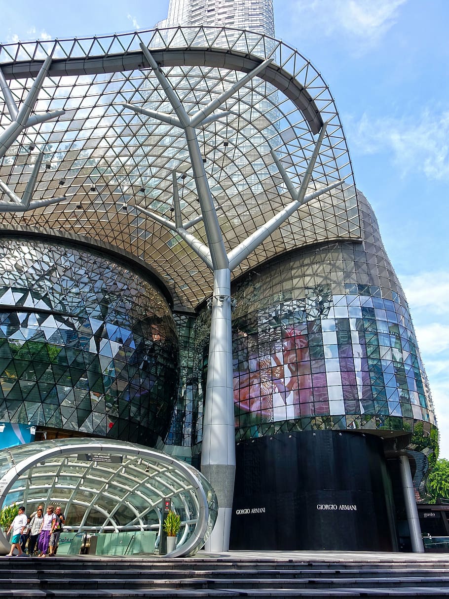 910x1213 Ion orchard 1080P, 2K, 4K, 5K HD wallpaper free download