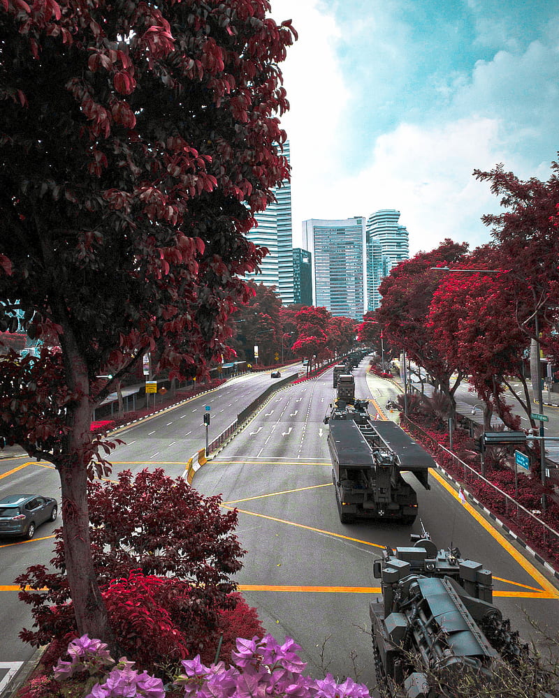 800x1000 False colour, army, blue, parade, red, road, singapore, trees, HD phone wallpaper