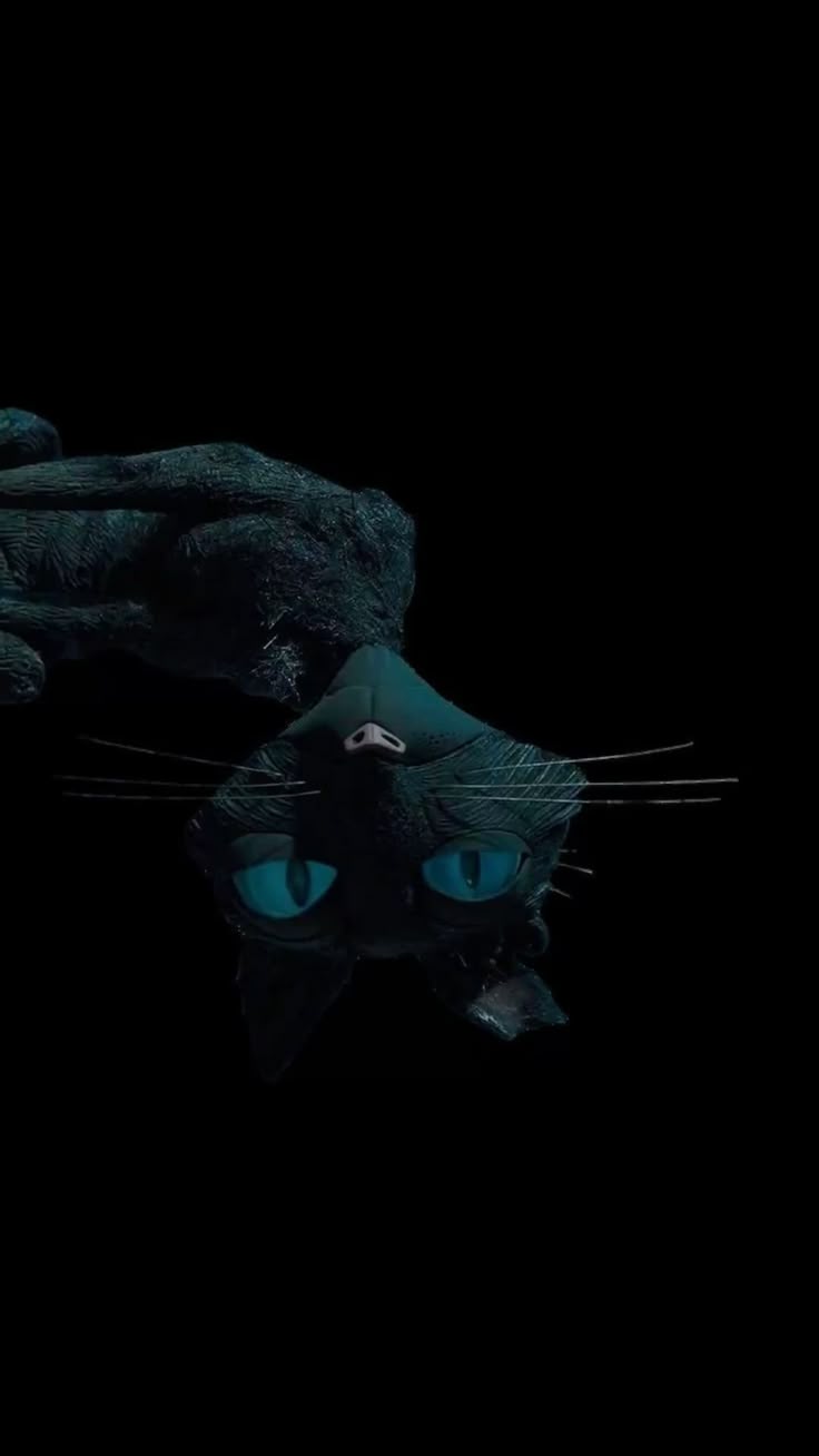 736x1308 salem wallpaper