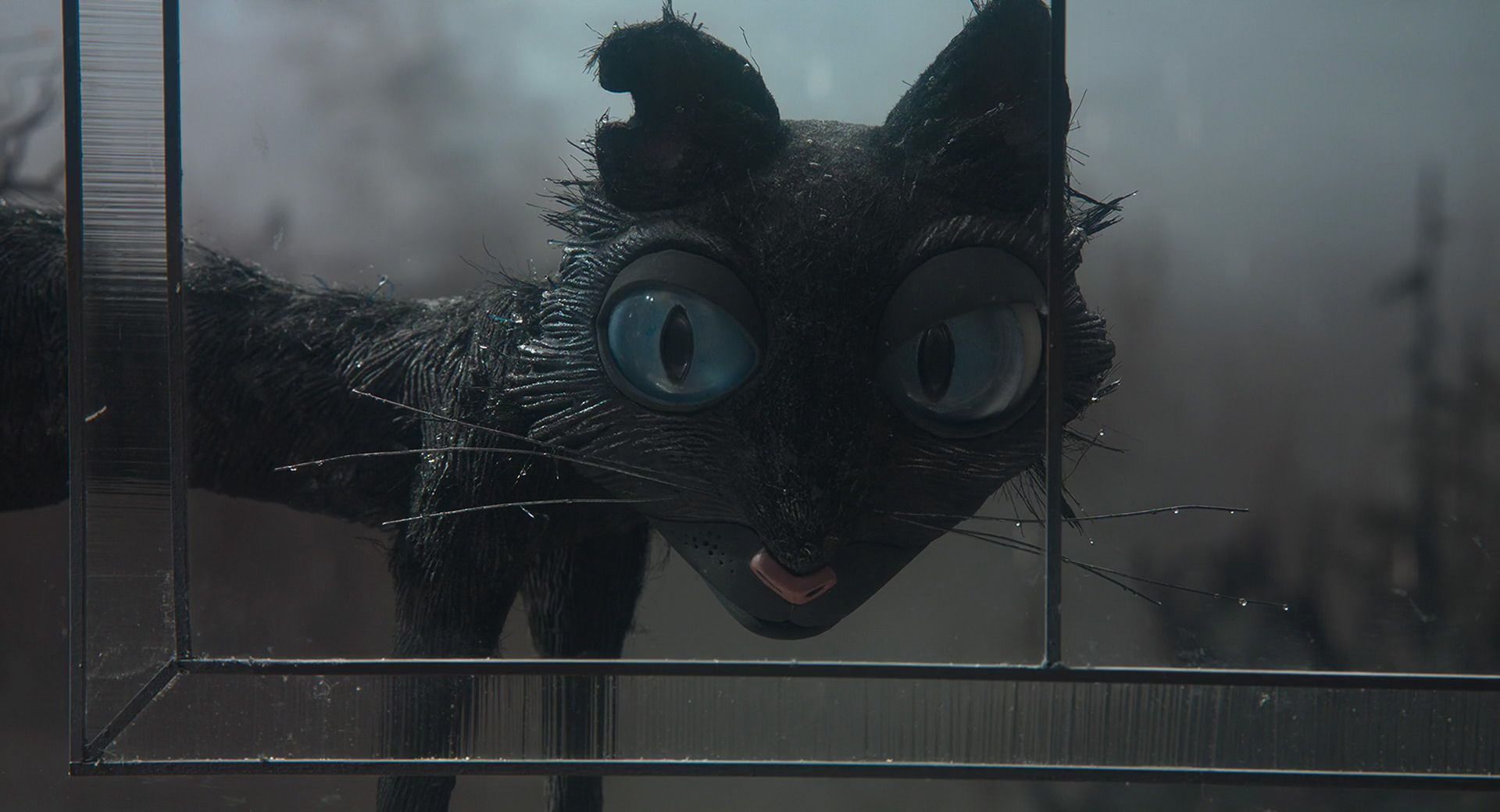 1920x1040 Best Coraline cat ideas. coraline cat, coraline, coraline movie