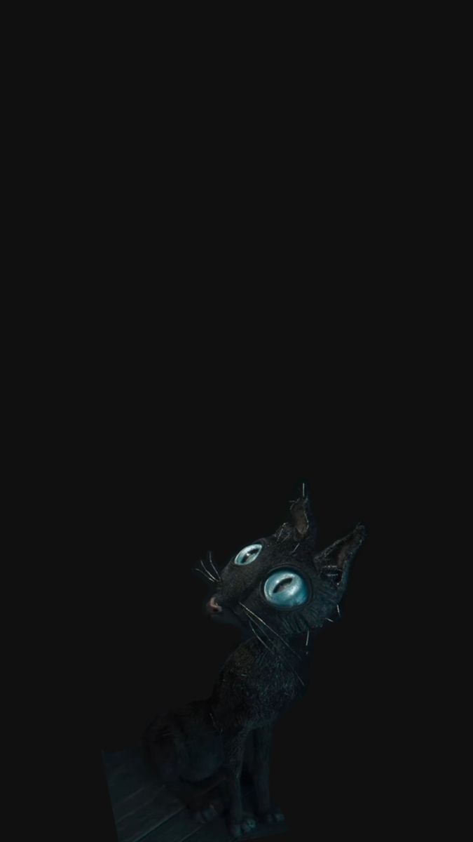 675x1200 Coraline black cat. Coraline cat wallpaper, Coraline blue background, Halloween wallpaper iphone background