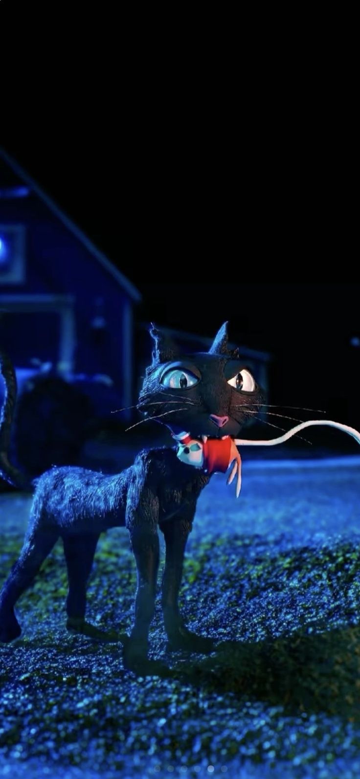 736x1593 Coraline cat wallpaper. Coraline cat no background, Coraline wallpaper 4k, Coraline aesthetic