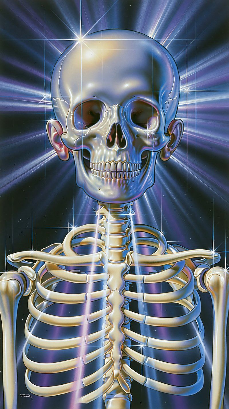 800x1429 Wallpaper Anatomy Skull Human Image Wallpaper