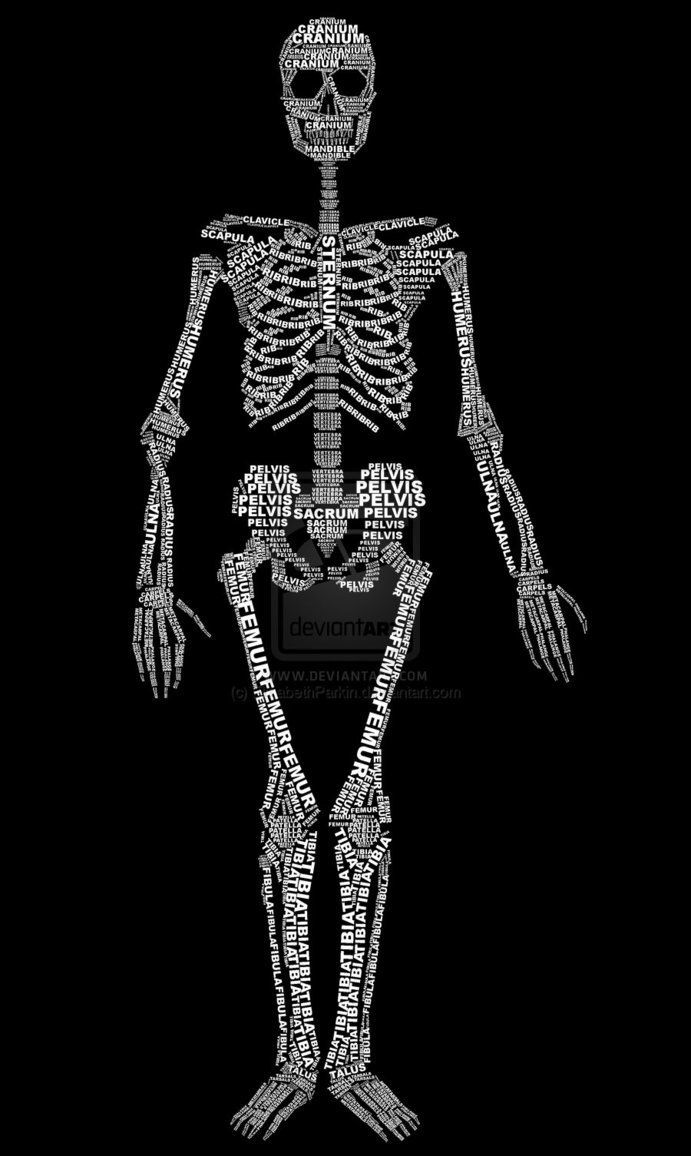 691x1156 The Skeleton of Words
