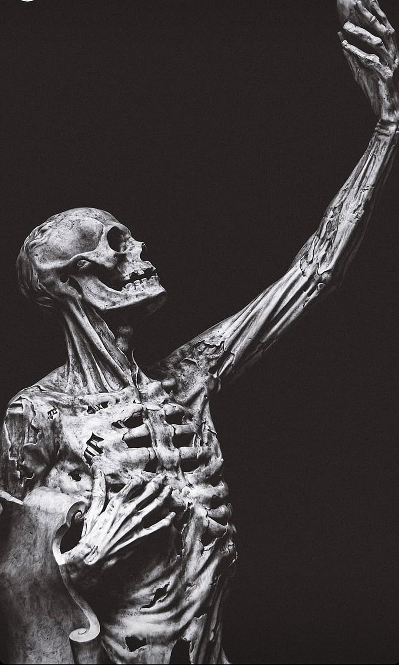 800x1333 Skelton, anatomy, black, bones, me, medecine, selfie, HD phone wallpaper