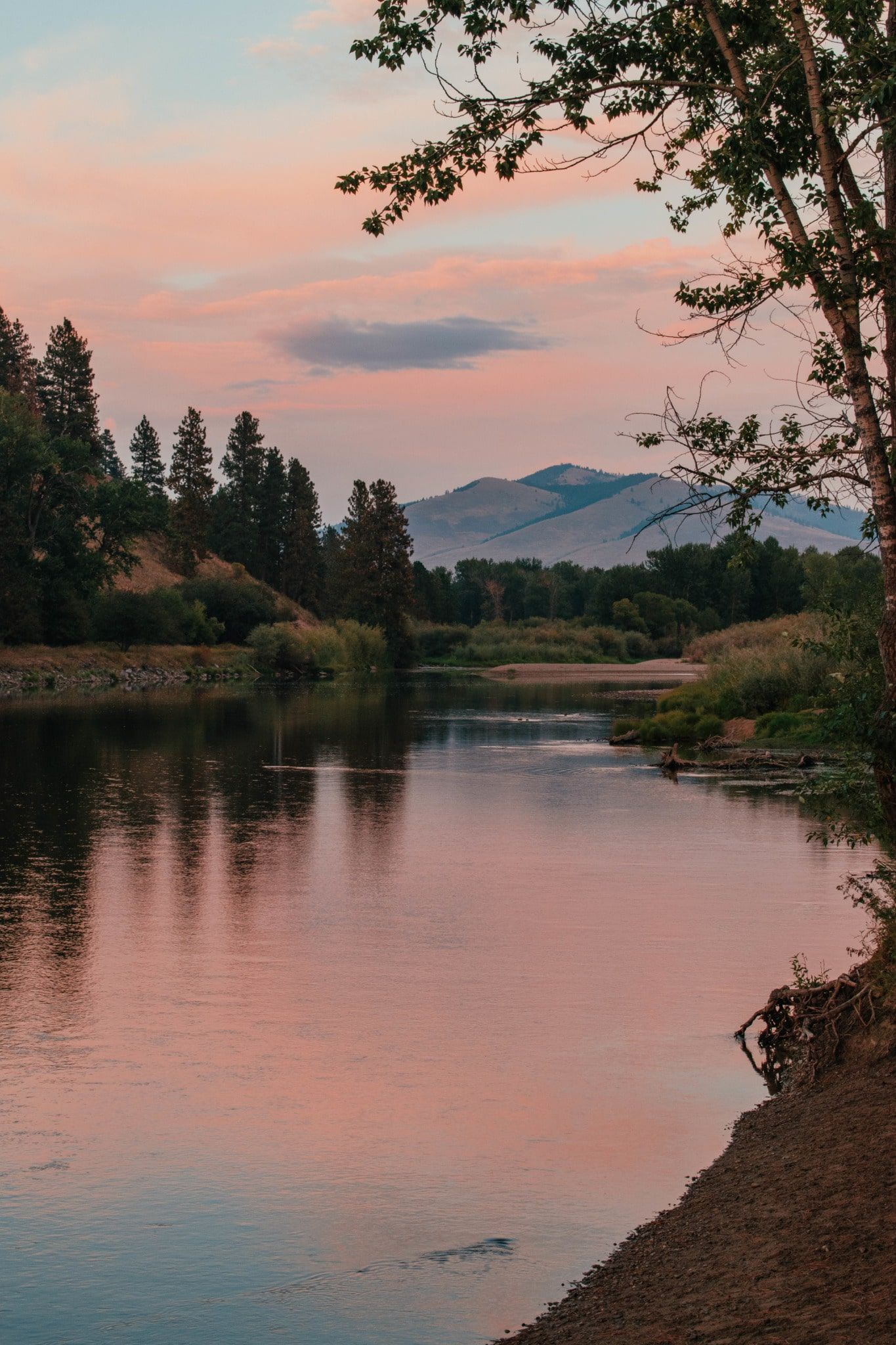 1365x2048 What to Do in Missoula, Montana: Travel Guide for an Outdoor Escape in Between
