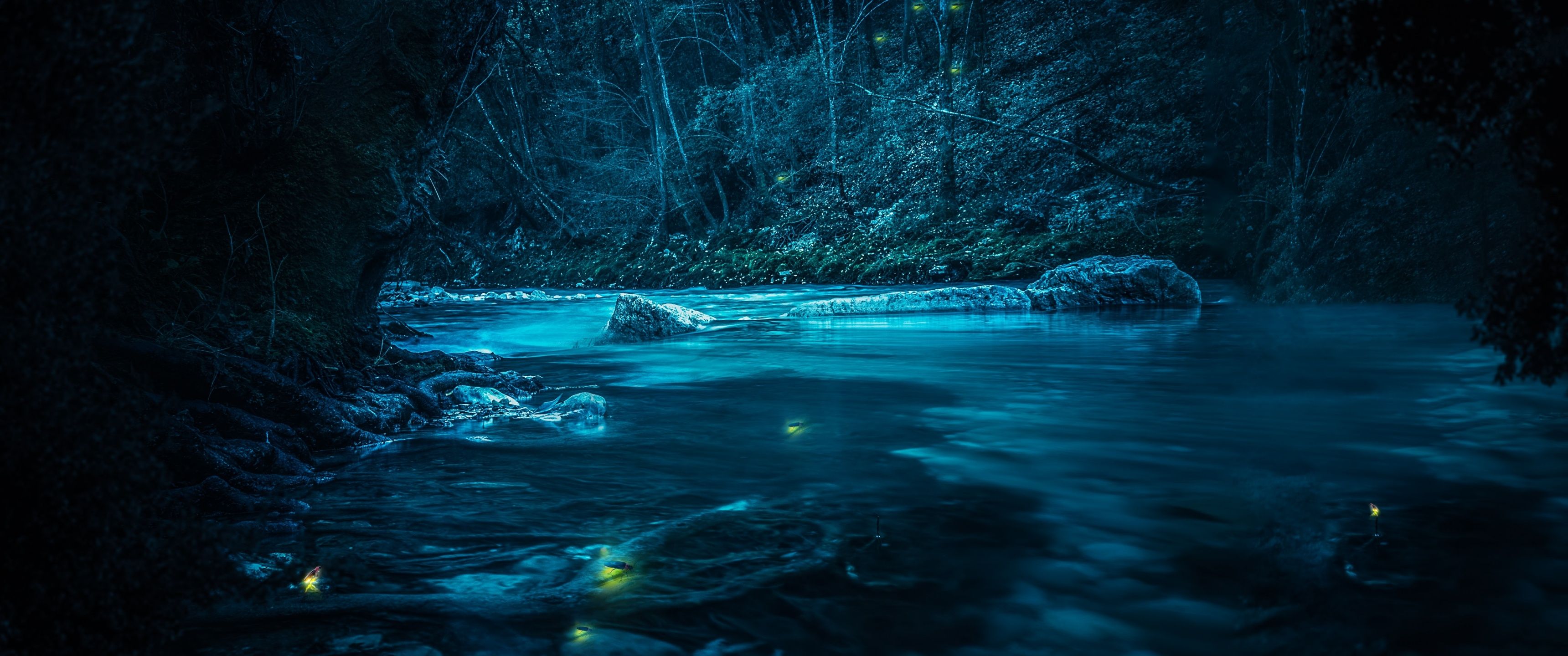3440x1440 Forest Wallpaper 4K, River, Night, Dark, Magical