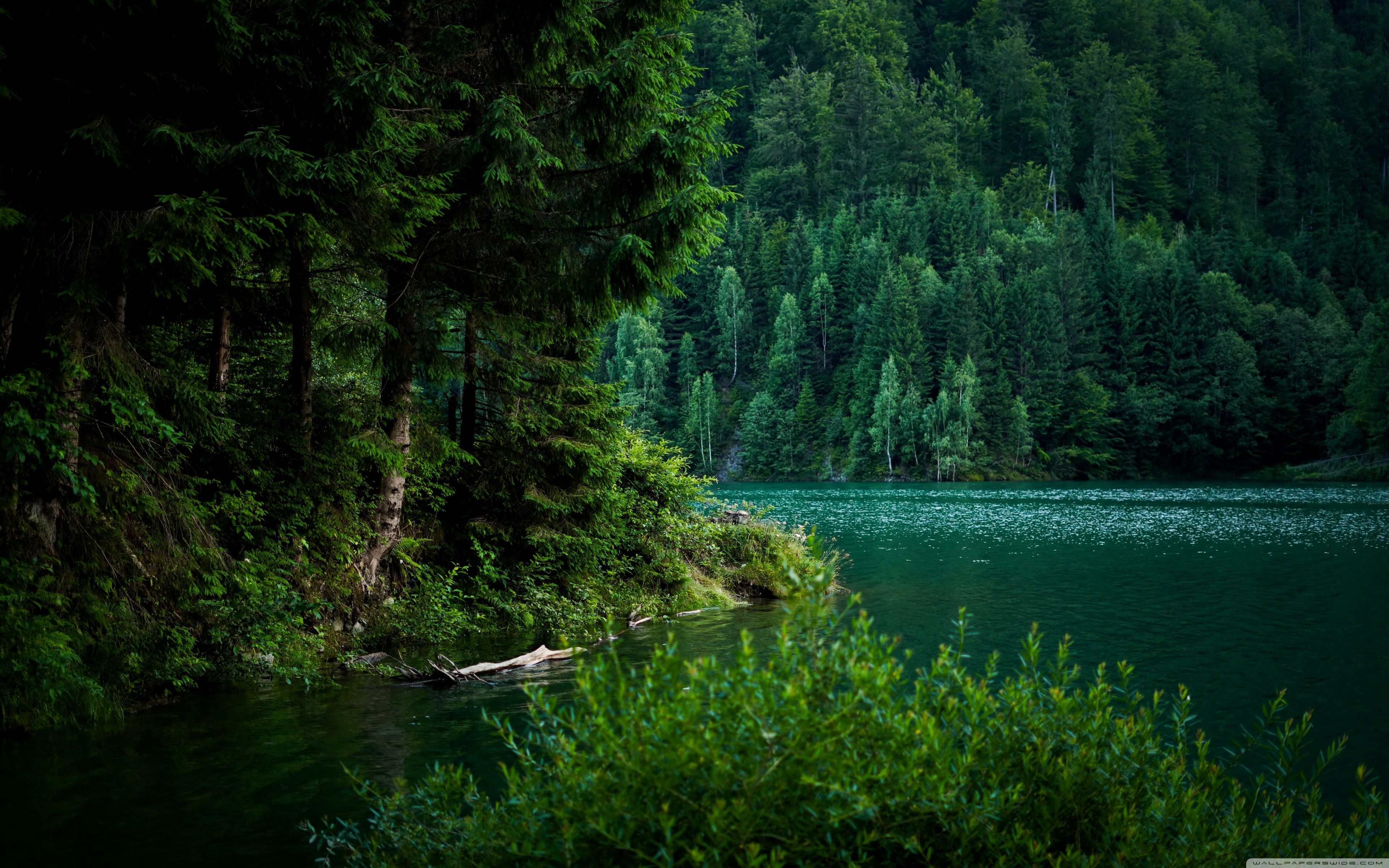 3840x2400 Green Lake Surrounded by Mountain Forest 4K UHD Wallpaper for UltraHD Desktop and TV : Widescreen and UltraWide Display : Smartphone and Tablet Devices