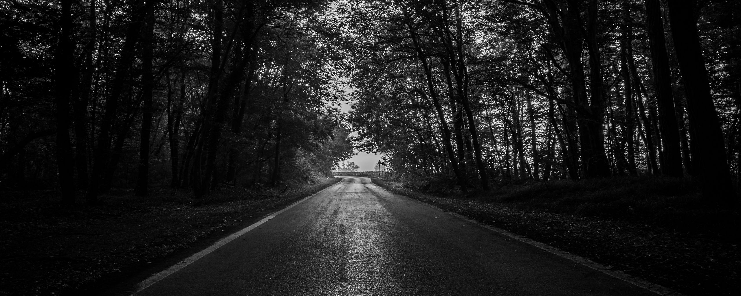 2560x1024 Download wallpaper 2560x1024 road, trees, bw, dark, forest ultrawide monitor HD background