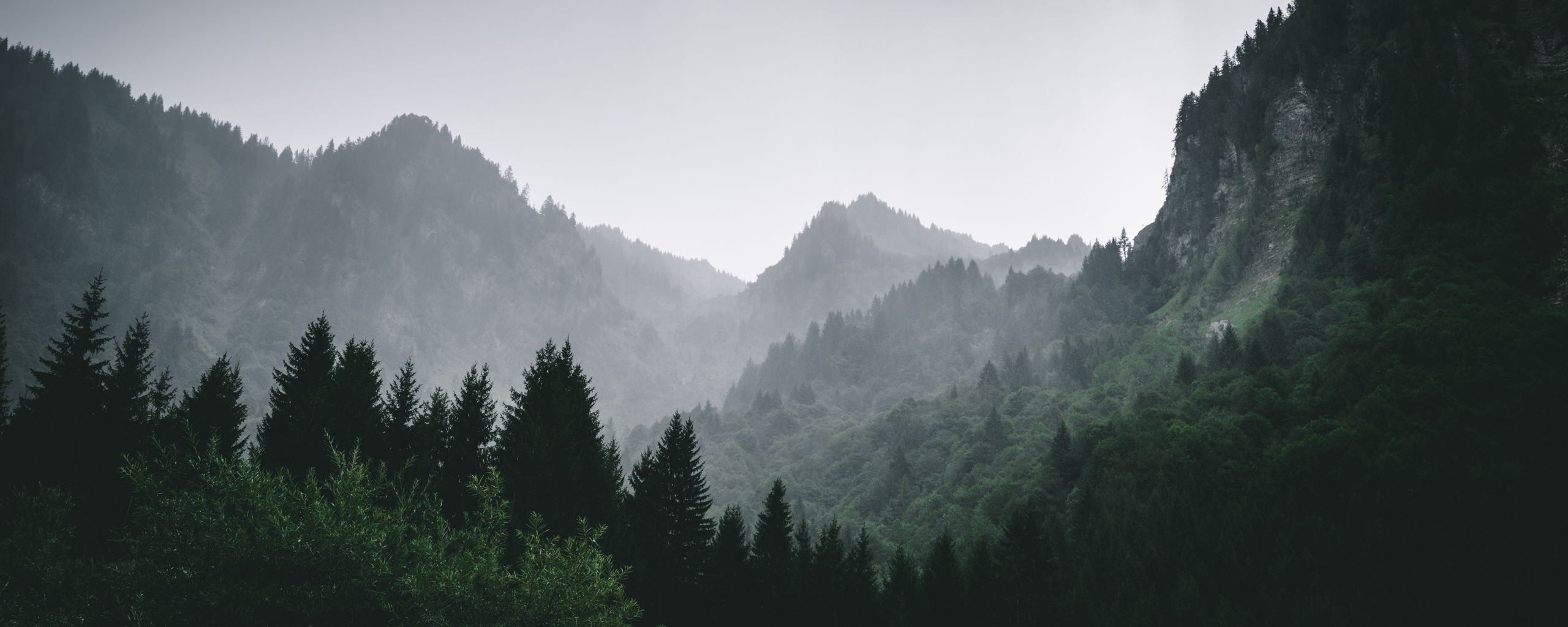 2560x1024 Download wallpaper 2560x1024 mountains, forest, fog, landscape ultrawide monitor HD background