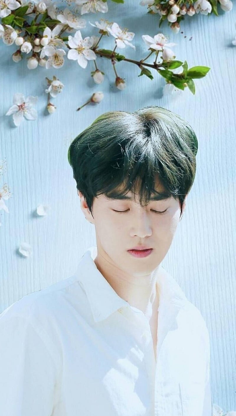 800x1405 Suho, exo, flowers, HD phone wallpaper