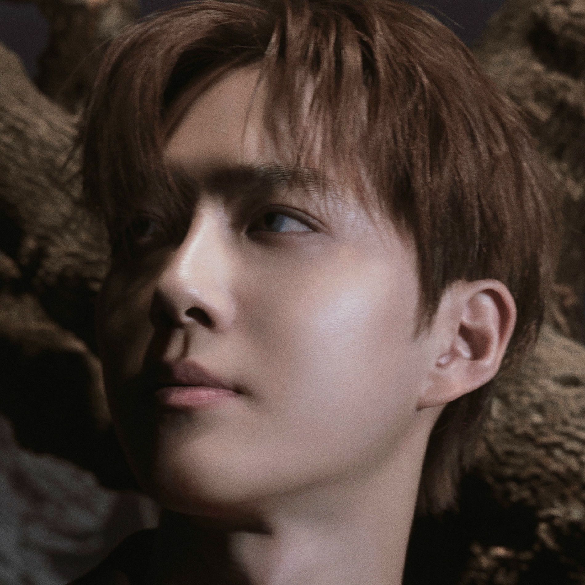 1900x1900 SUHO: albums, songs, concerts
