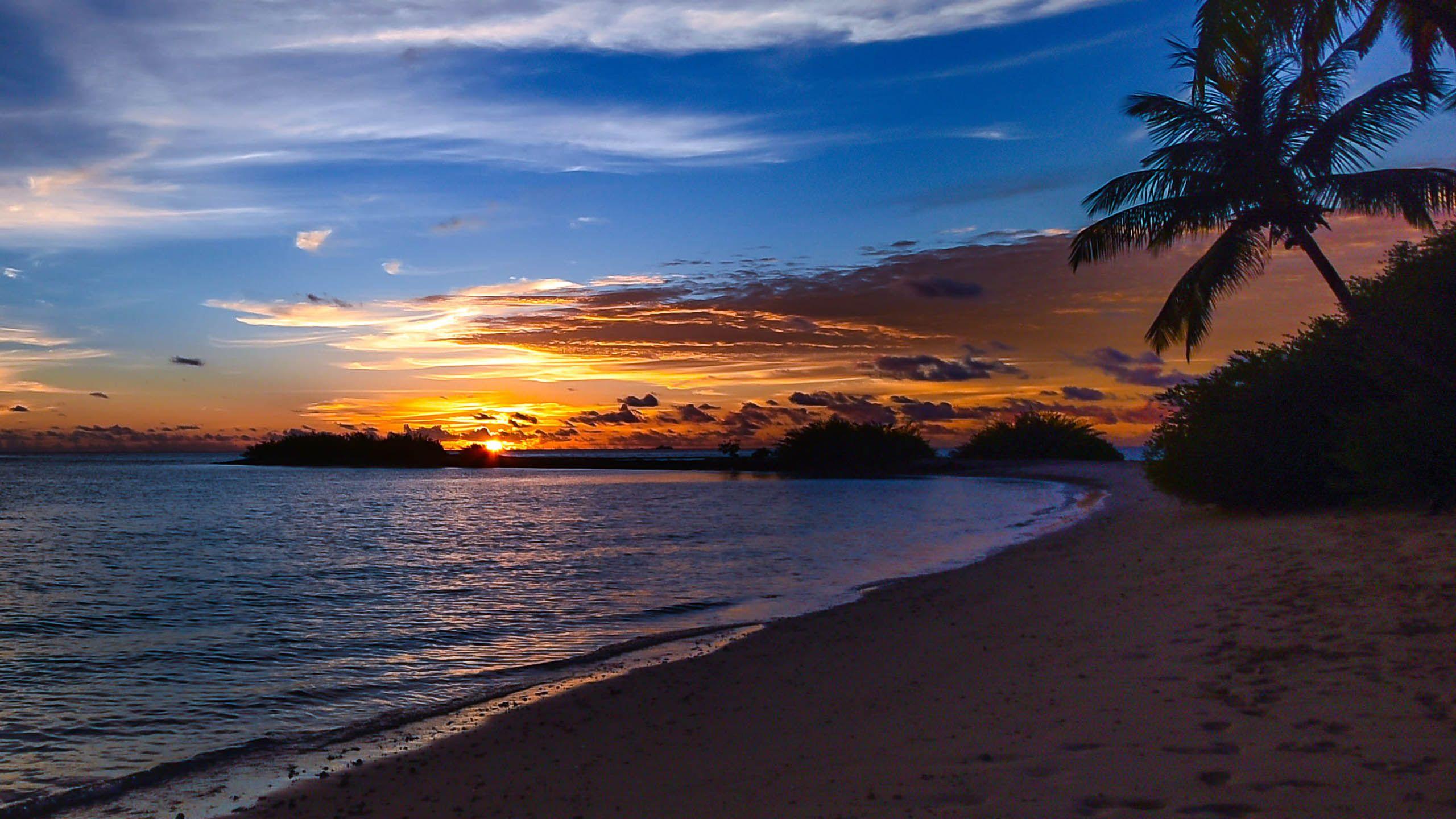 2560x1440 Sunset Sandy Beach Ocean Palm Orange Sky Clouds 4k Ultra HD