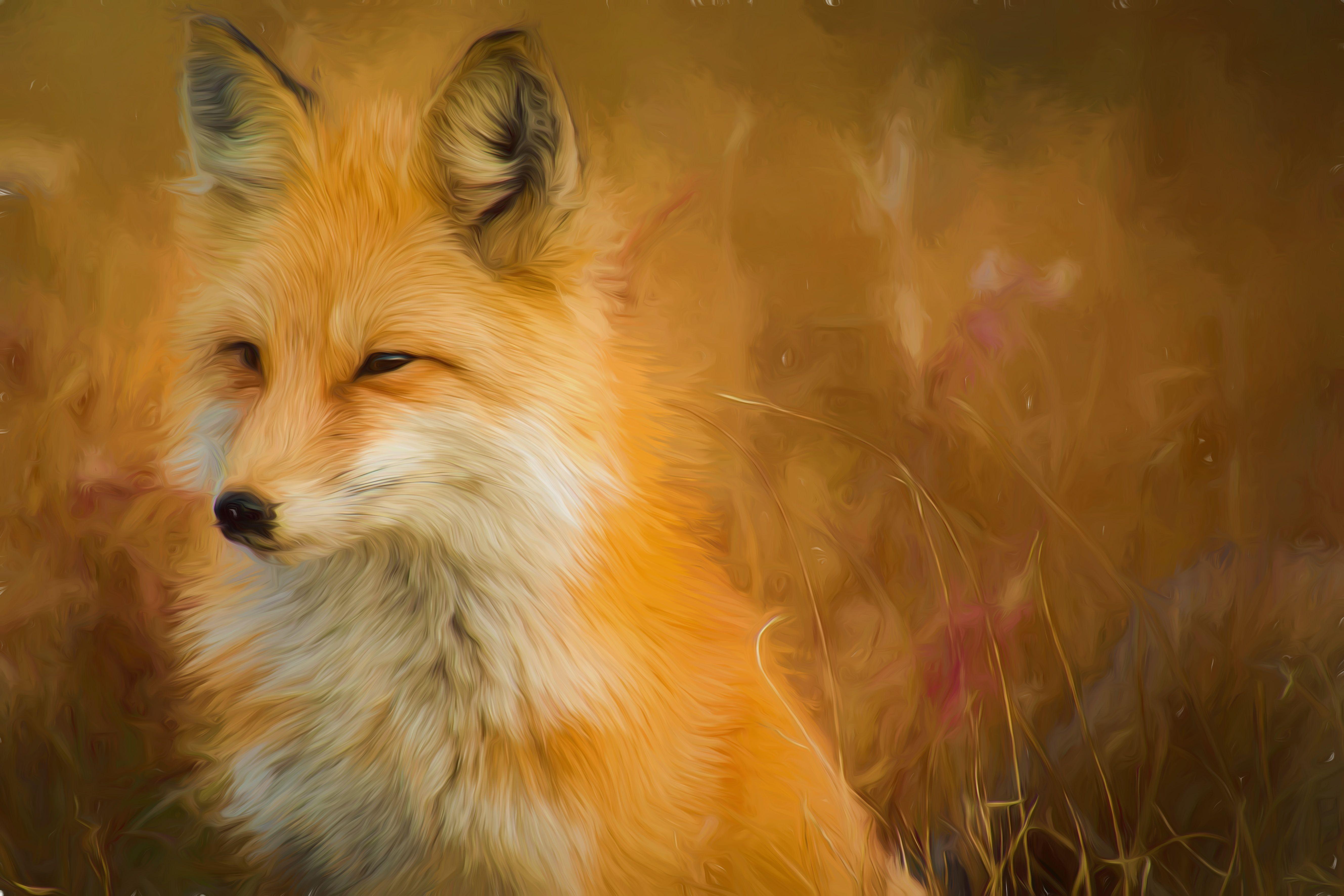 5315x3543 Fox Artwork Painting Wallpaper