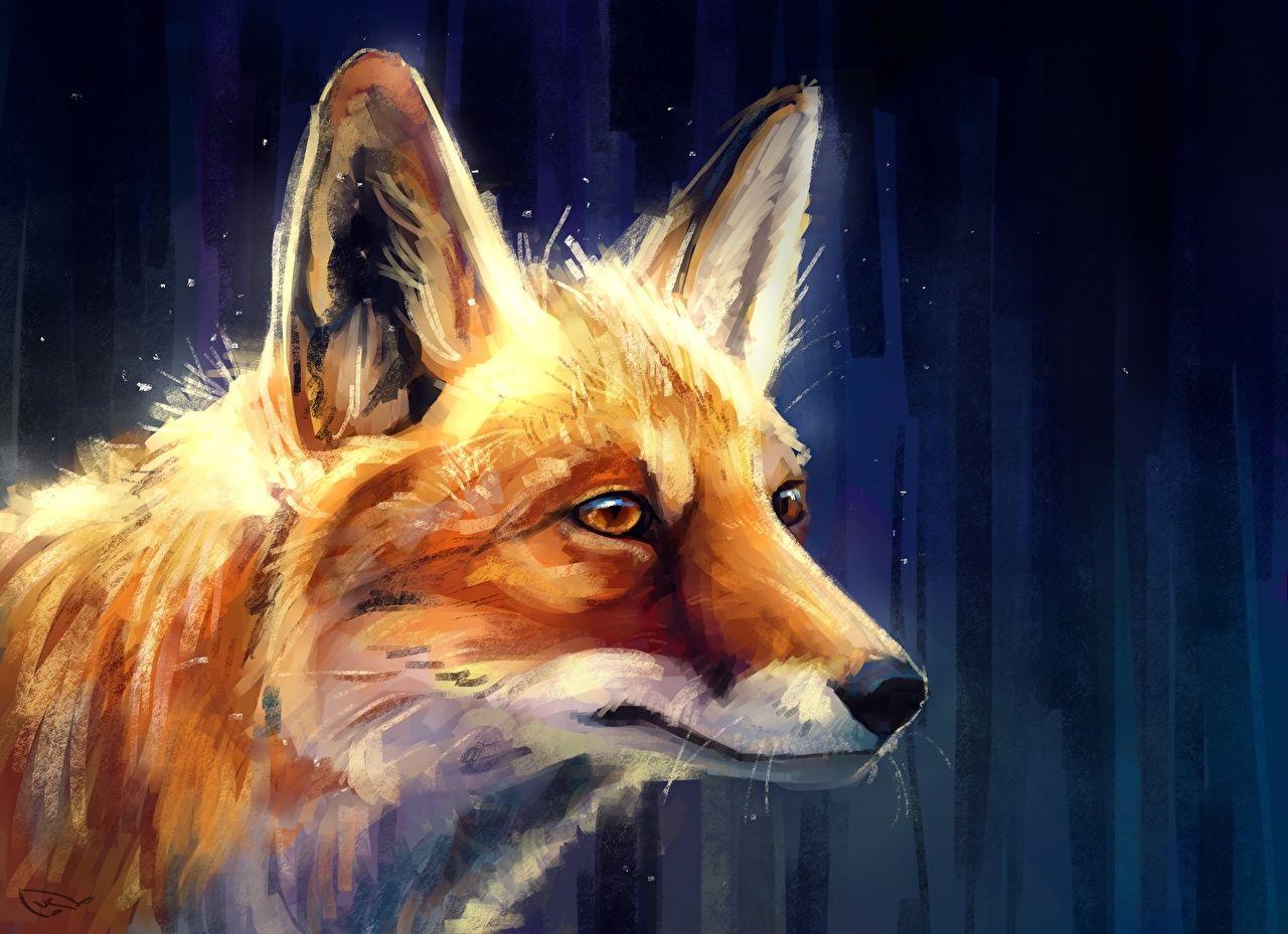 Fox Painting Wallpapers - Top Free Fox Painting Backgrounds ...