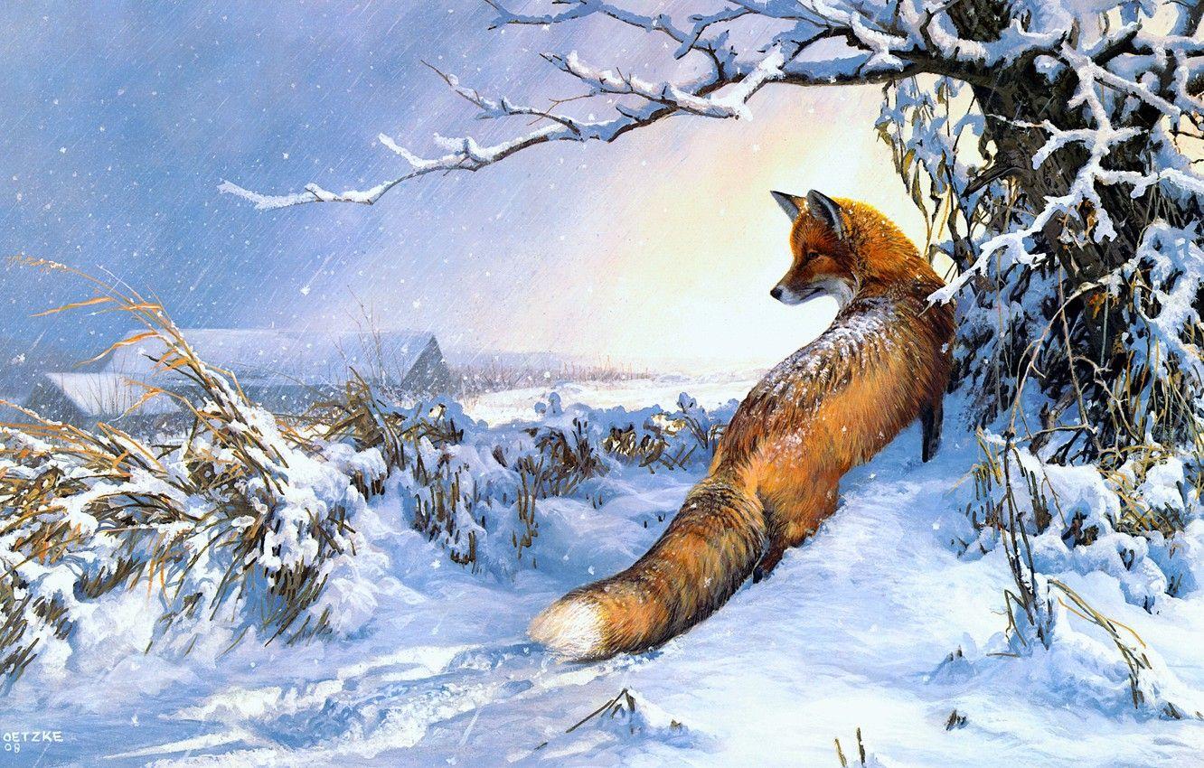 Fox Painting Wallpapers - Top Free Fox Painting Backgrounds ...