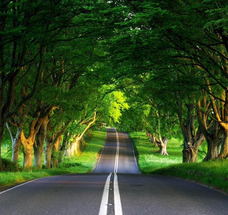 960x907 England, United Kingdom. HD nature wallpaper, Scenery wallpaper