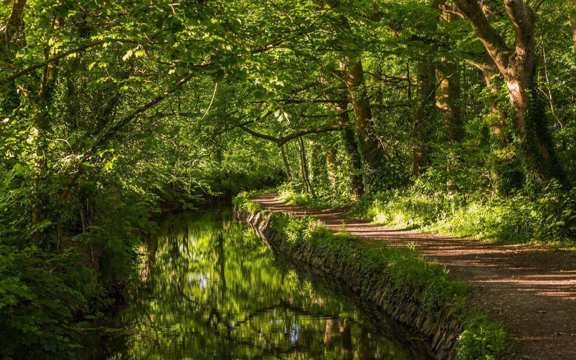 1920x1200 wallpaper: West devon, River, Trail, Forest, England, nature