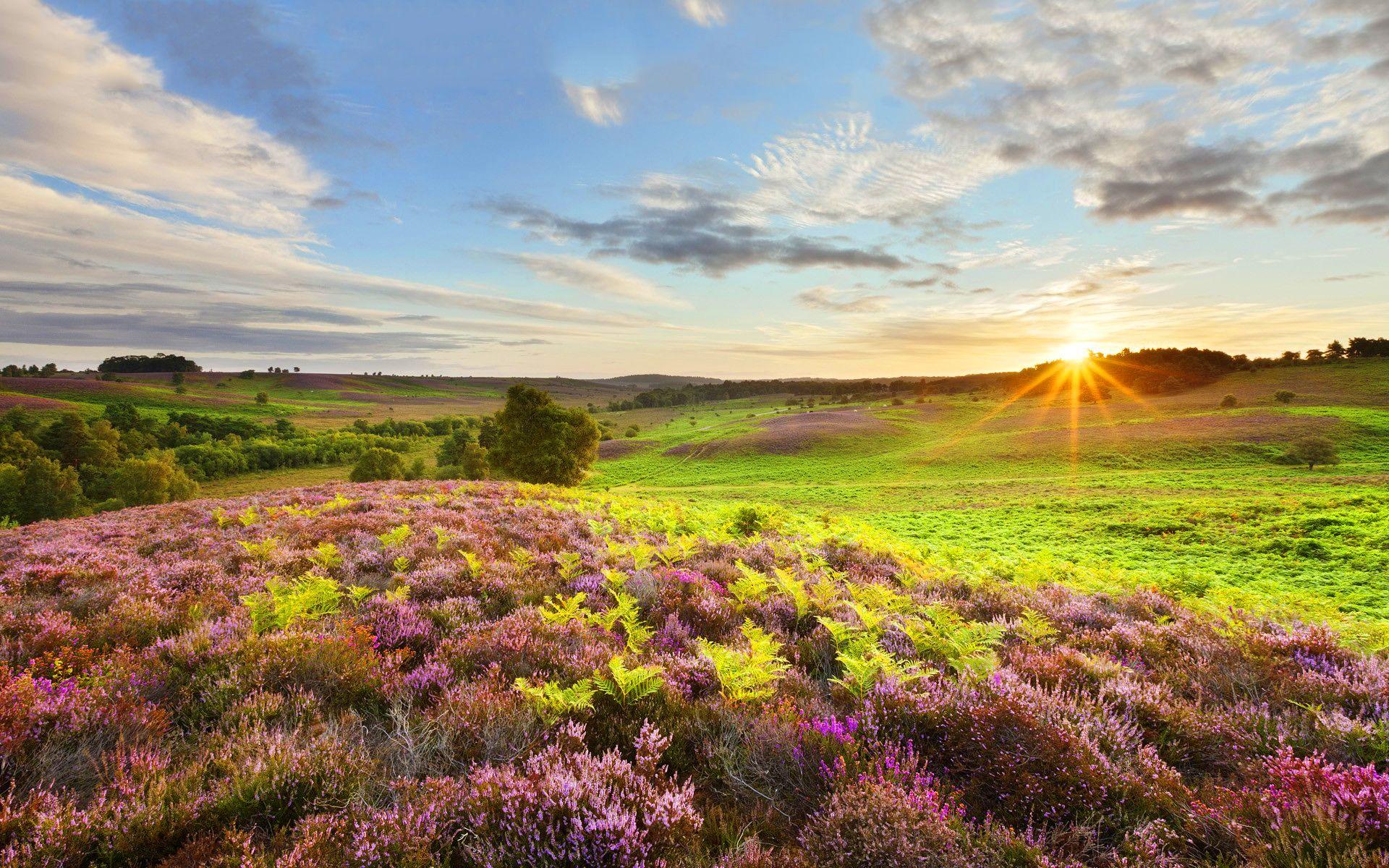 1920x1200 England Wallpaper