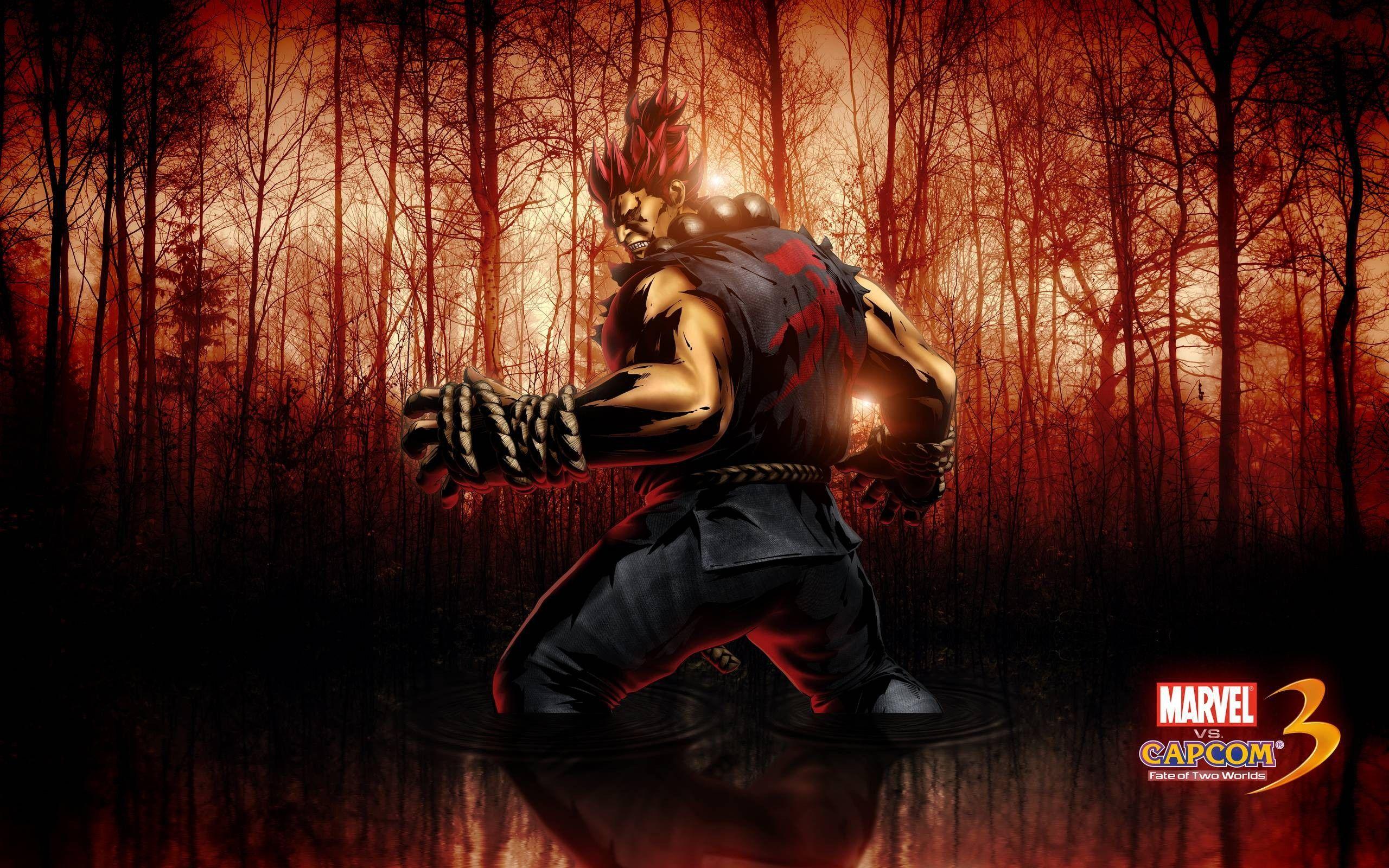 2560x1600 Street Fighter Akuma Wallpaper