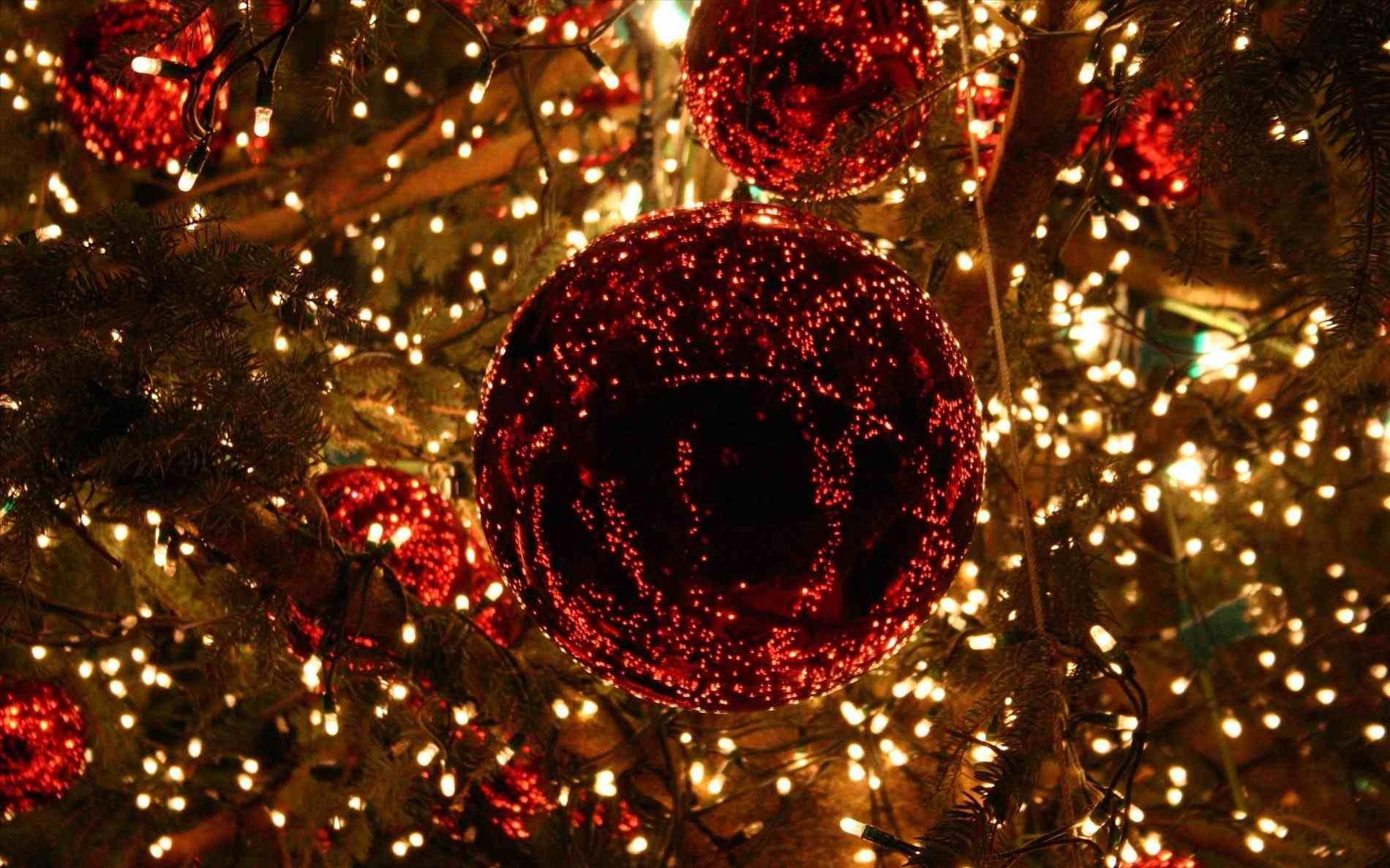 1900x1187 christmas tree lights desktop background. Christmas lights