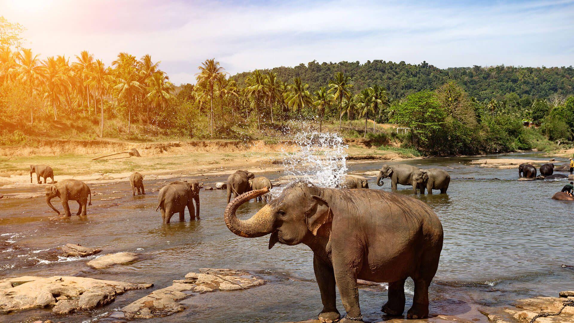 1920x1080 Best of India and Sri Lanka