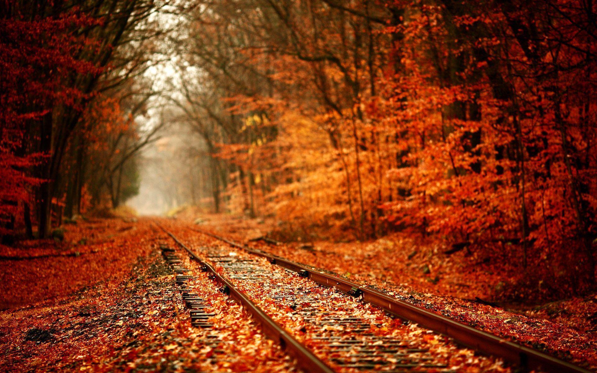 1920x1200 Articles
