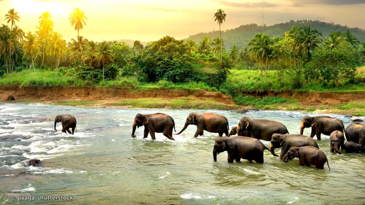 1504x846 Sri Lanka 4k Wallpaper