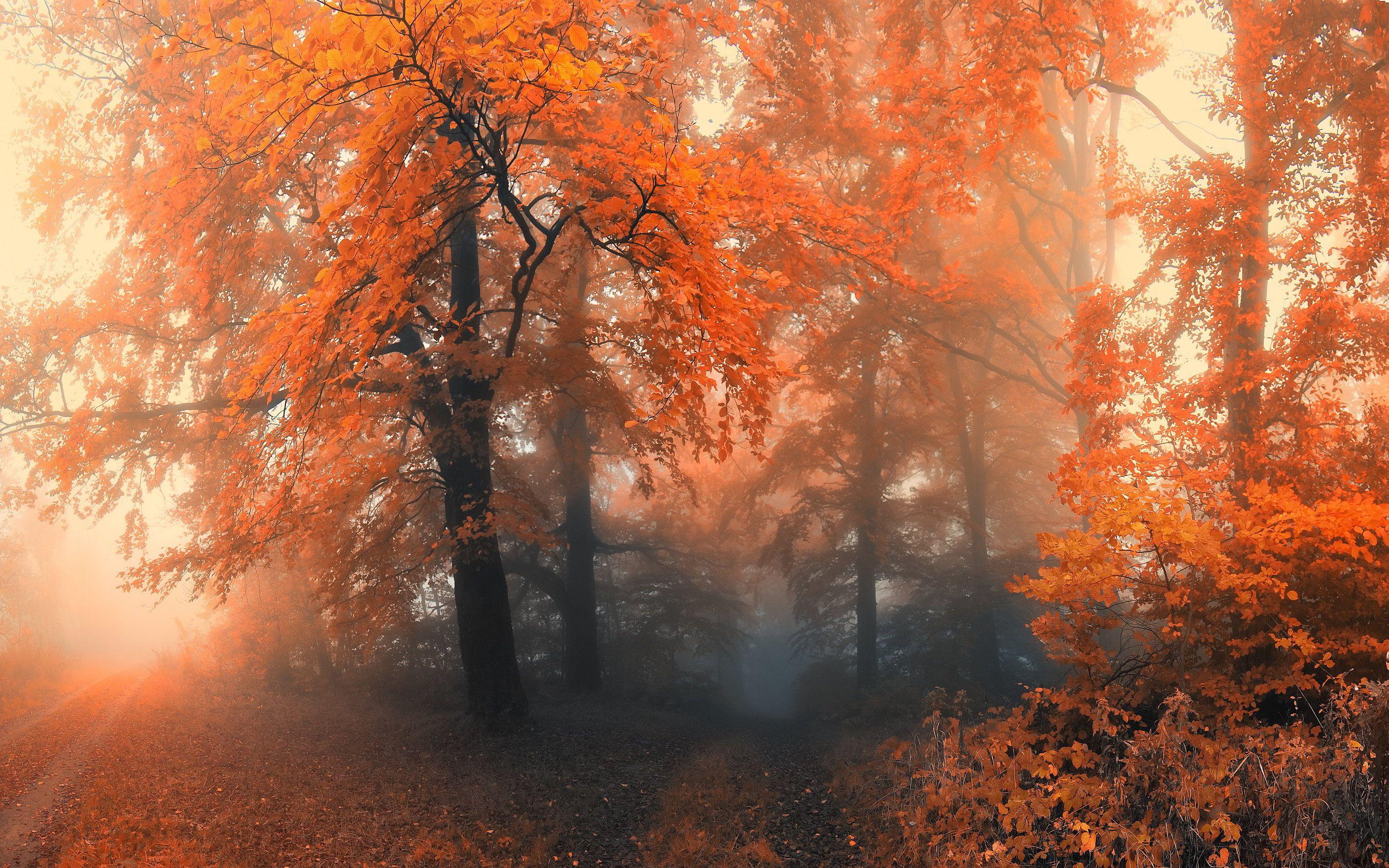 Cozy Fall Desktop Wallpapers Top Free Cozy Fall Desktop Backgrounds Cozy Fall Desktop Wallpapers Top Free Cozy Fall Desktop Backgrounds