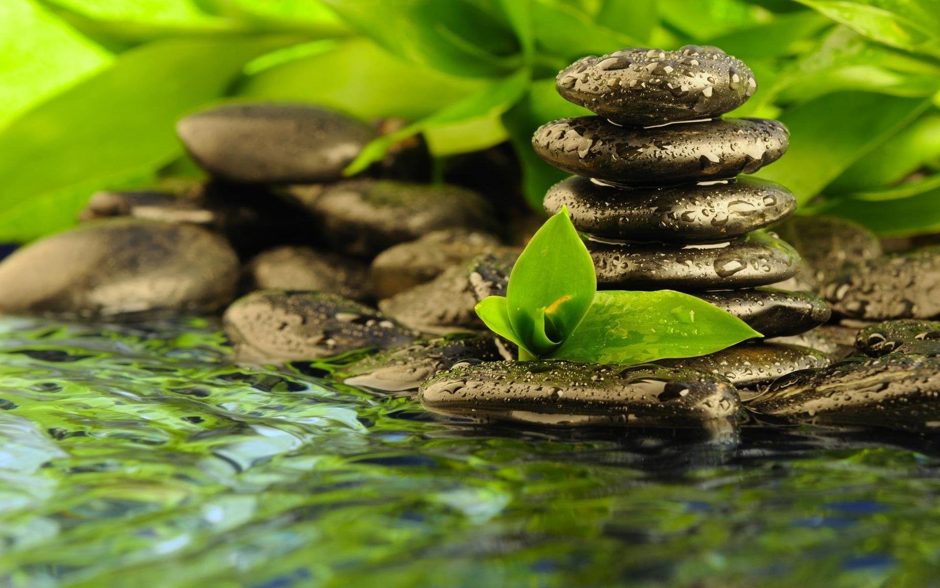 Buddhism Nature Wallpapers - Top Free Buddhism Nature Backgrounds