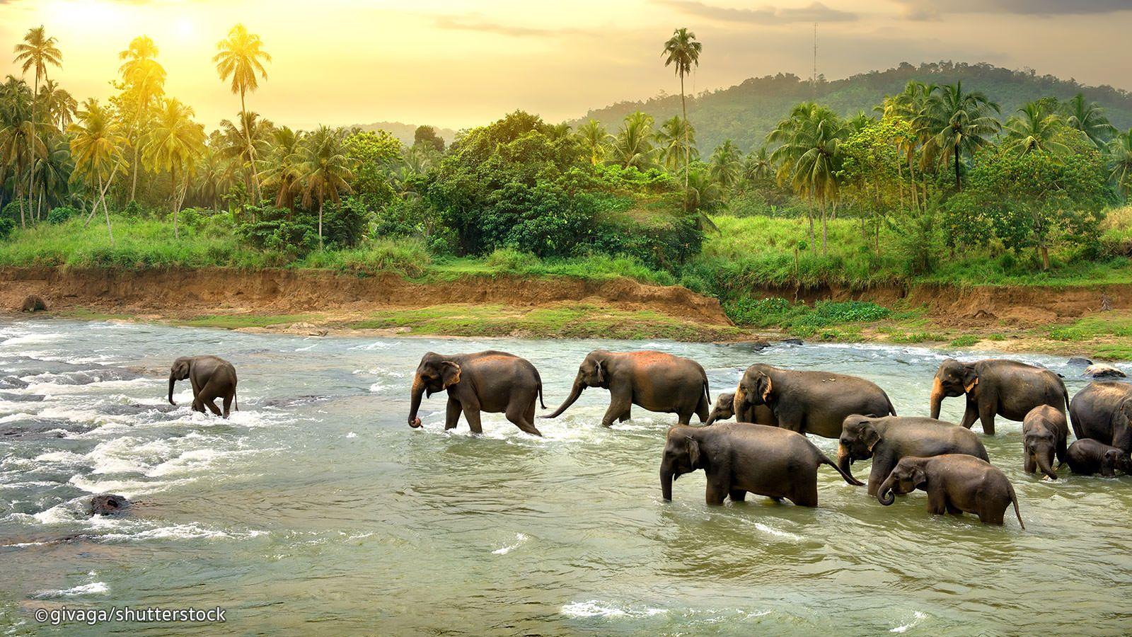 1600x900 Sri Lanka Information and Local Information Guide