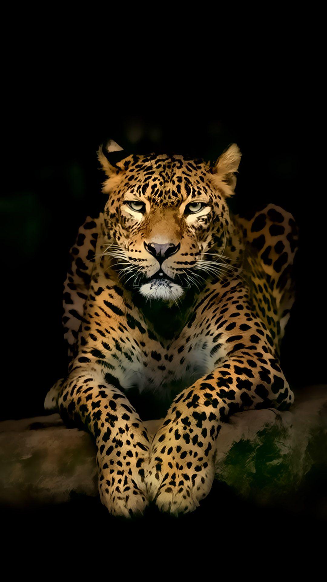 1080x1920 3D Animals Wallpaper