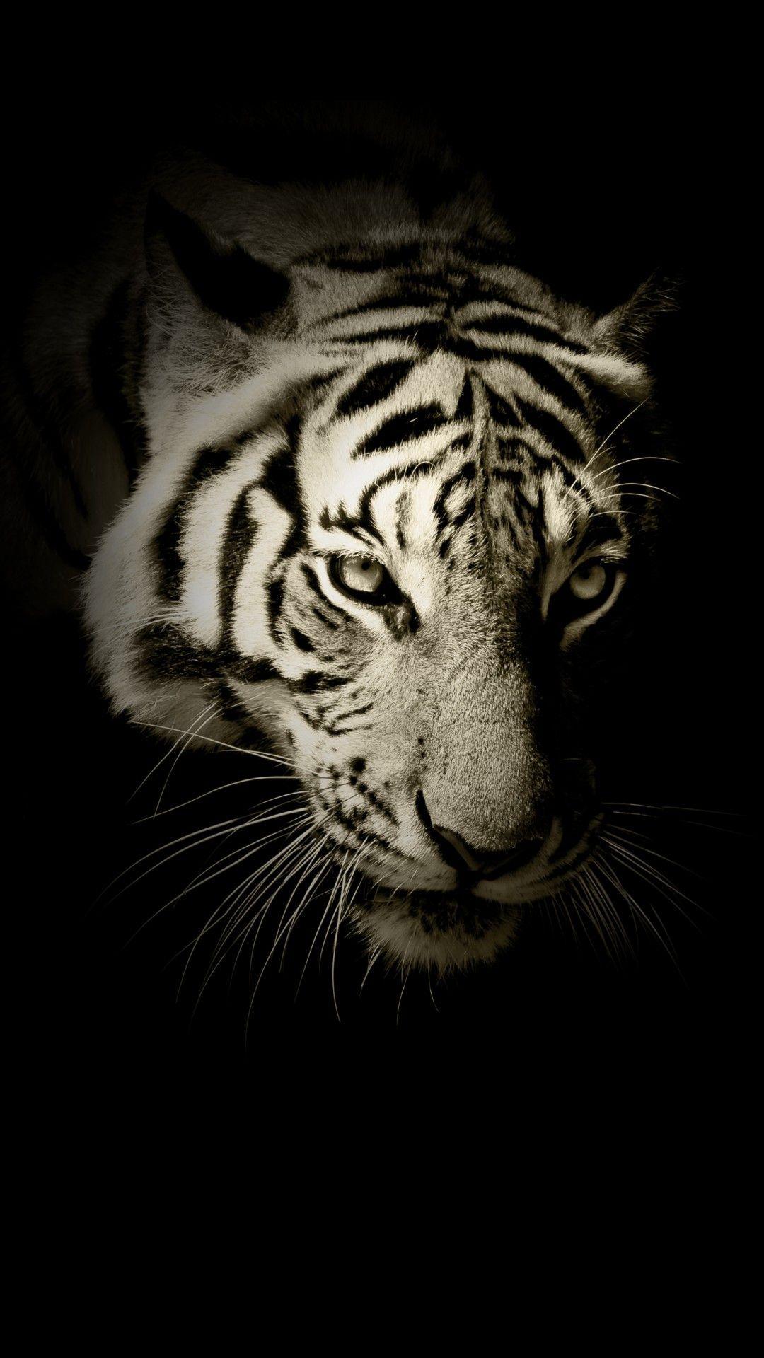 1080x1920 Black And White Tiger Phone Wallpaper Animals Wallpaper Ideas