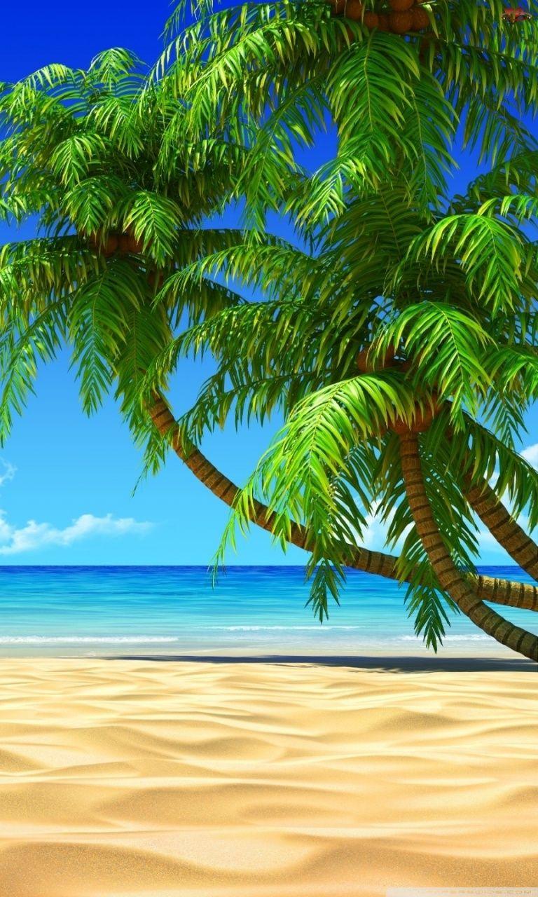 768x1280 Palm Trees Ultra HD Desktop Background Wallpaper for : Widescreen & UltraWide Desktop & Laptop : Multi Display, Dual Monitor : Tablet