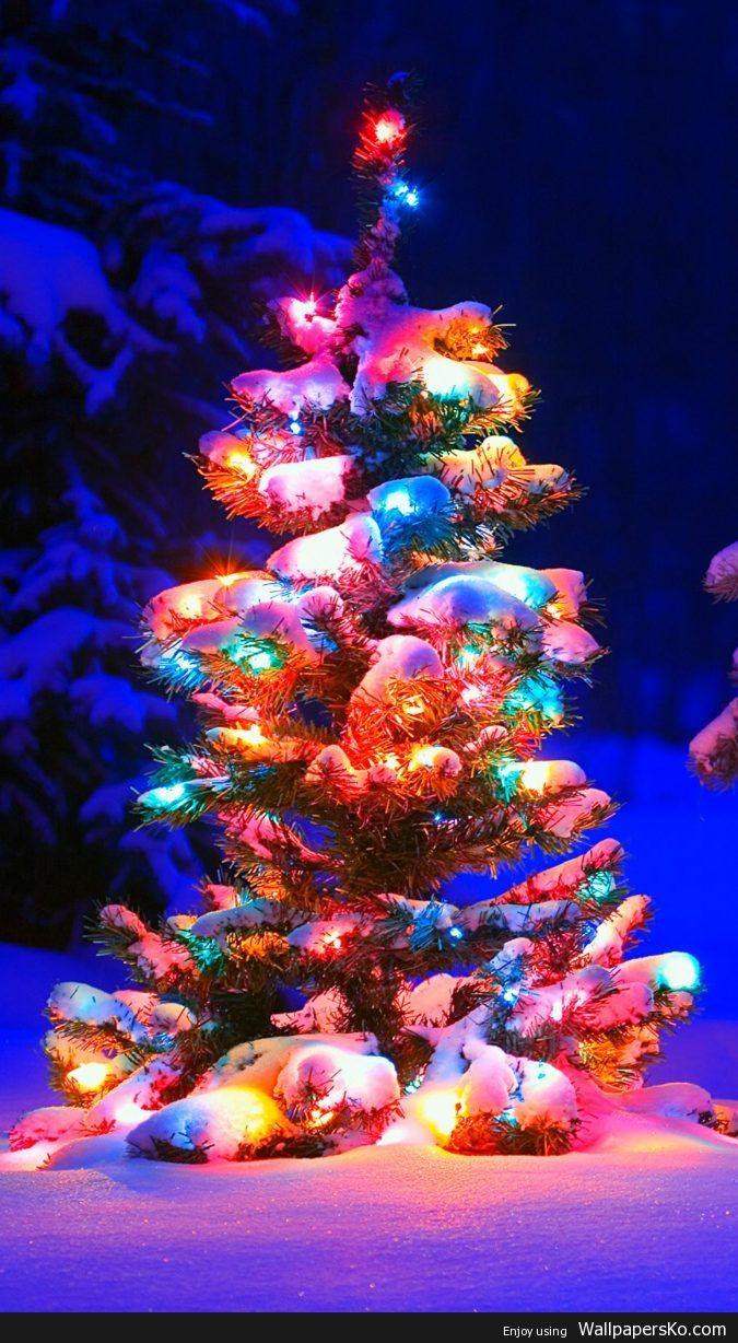 675x1228 Christmas Tree Phone Wallpaper : HD Wallpaper Download