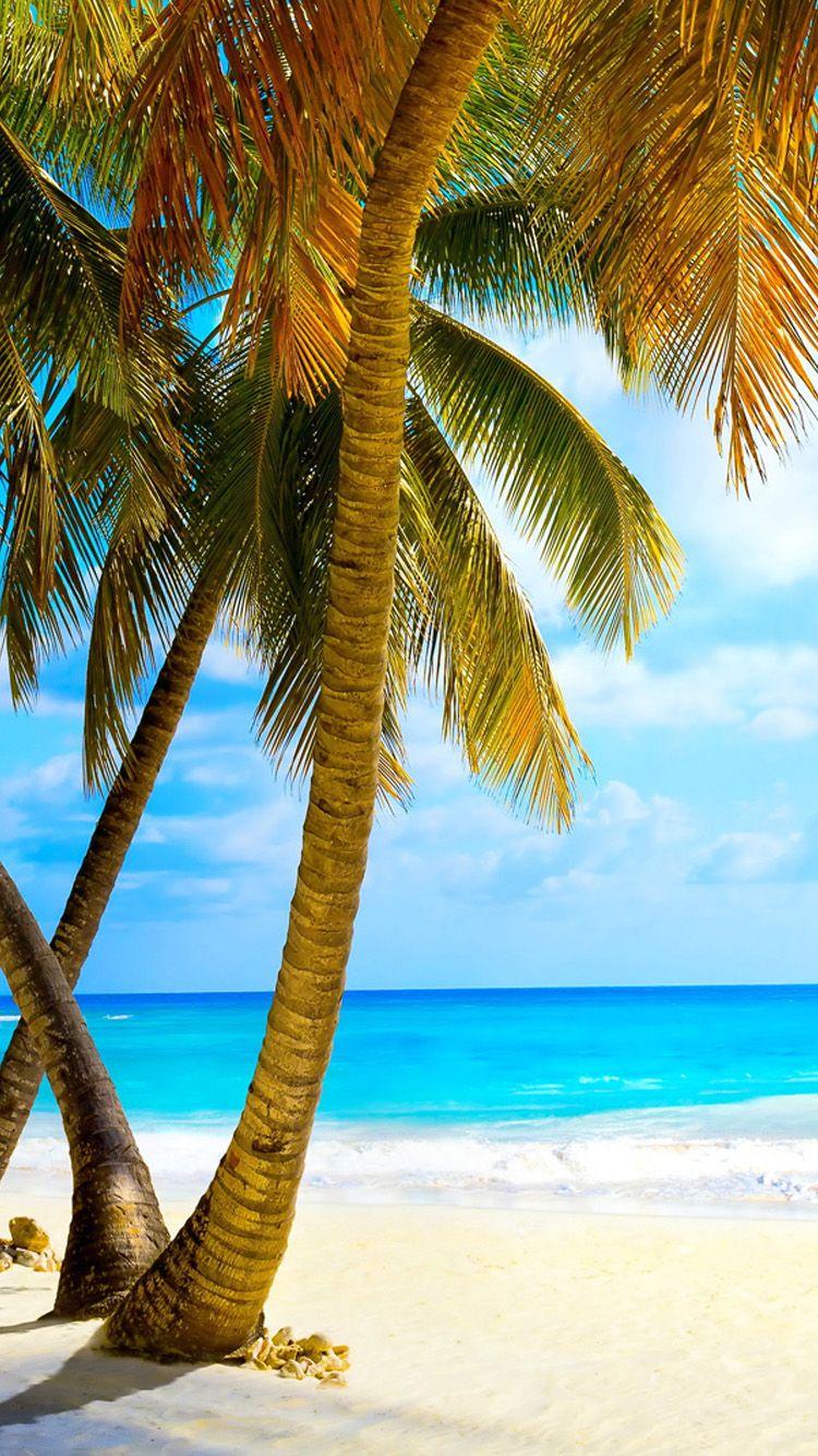 750x1334 Tropical beach with palm trees Free Download Wallpaper for Phone