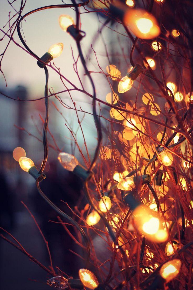 736x1104 Twinkle lights in brisk, autumn evenings. Fall wallpaper, Autumn