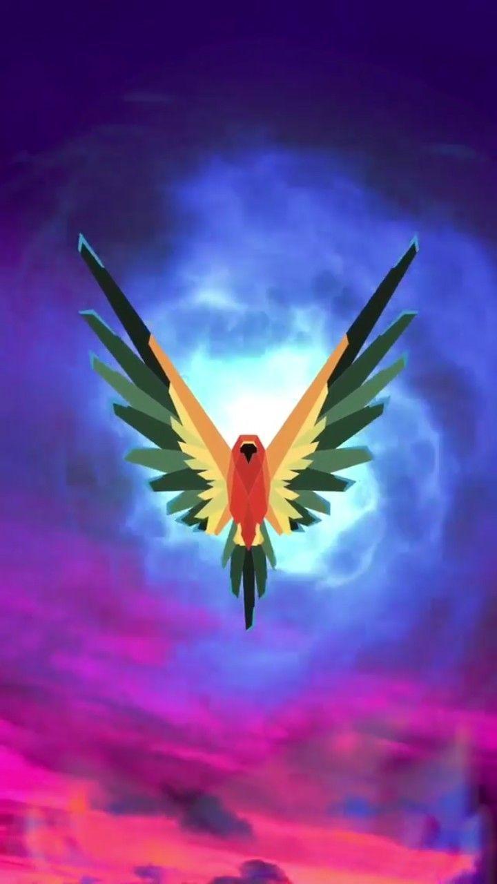 720x1280 Paul's Logan HD Bird Wallpaper