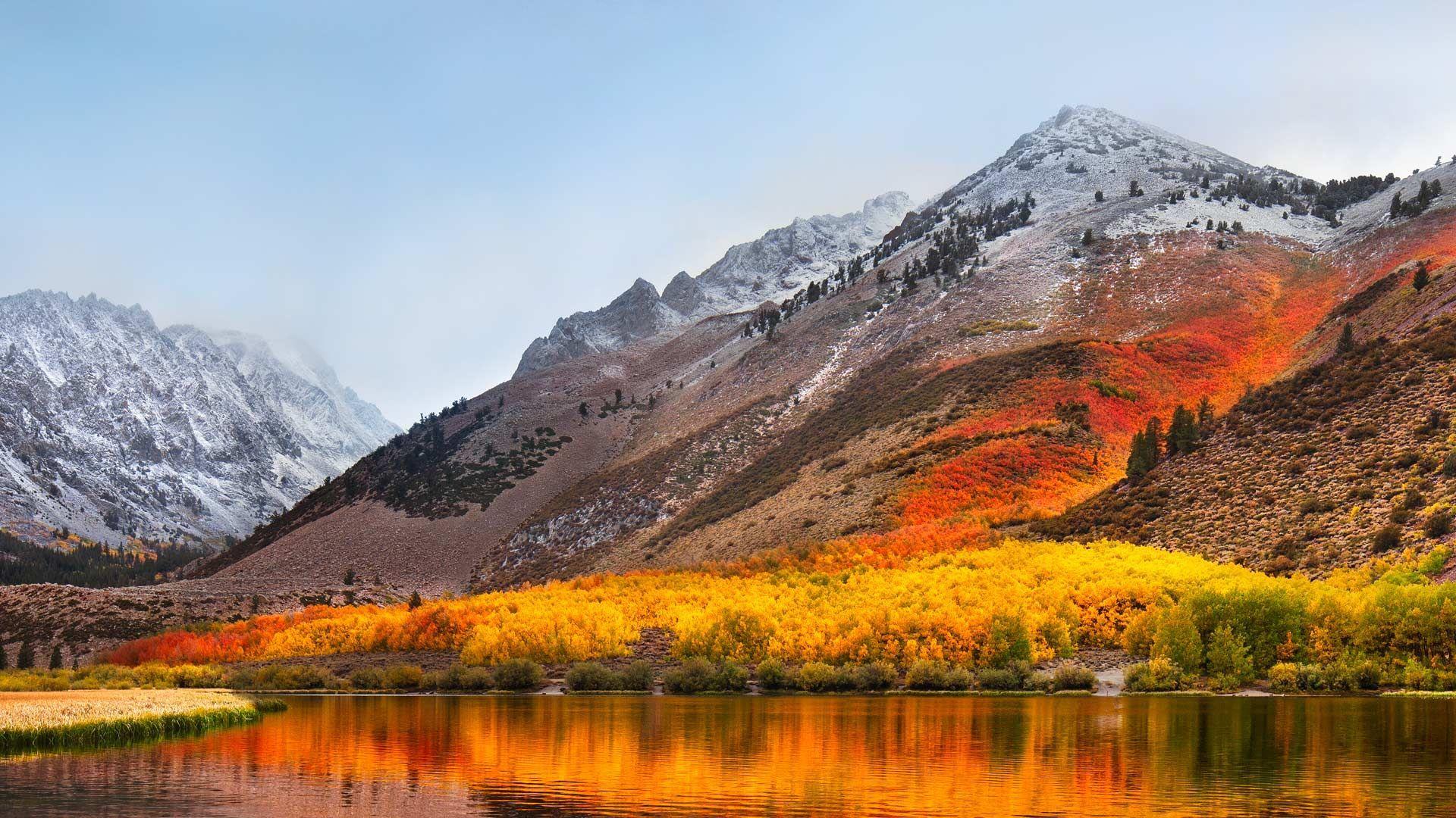 1920x1080 macos high sierra top HD wallpaper (1920x1080). Os wallpaper, Mac