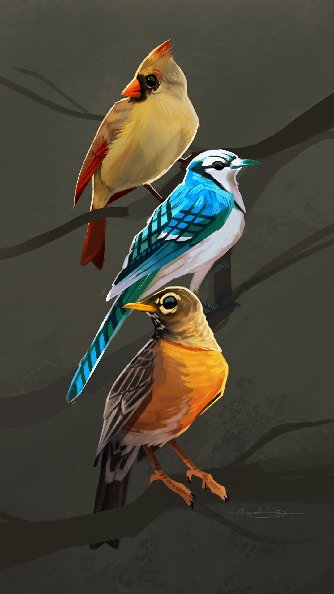 1080x1920 Wallpaper Birds Three 3 Branches Animals Painting Art 1080x1920