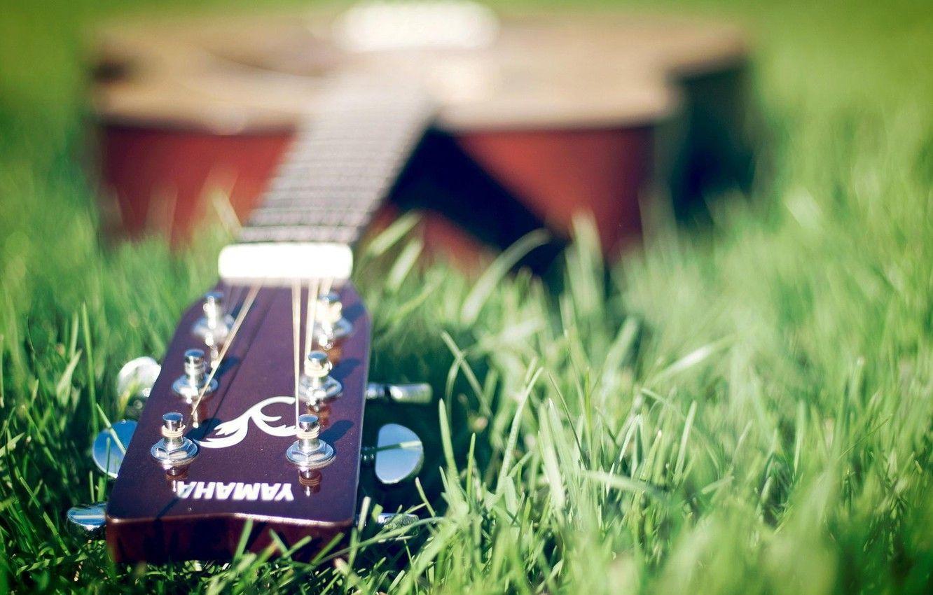 1332x850 Wallpaper Guitar, Yamaha, On the grass image for desktop, section