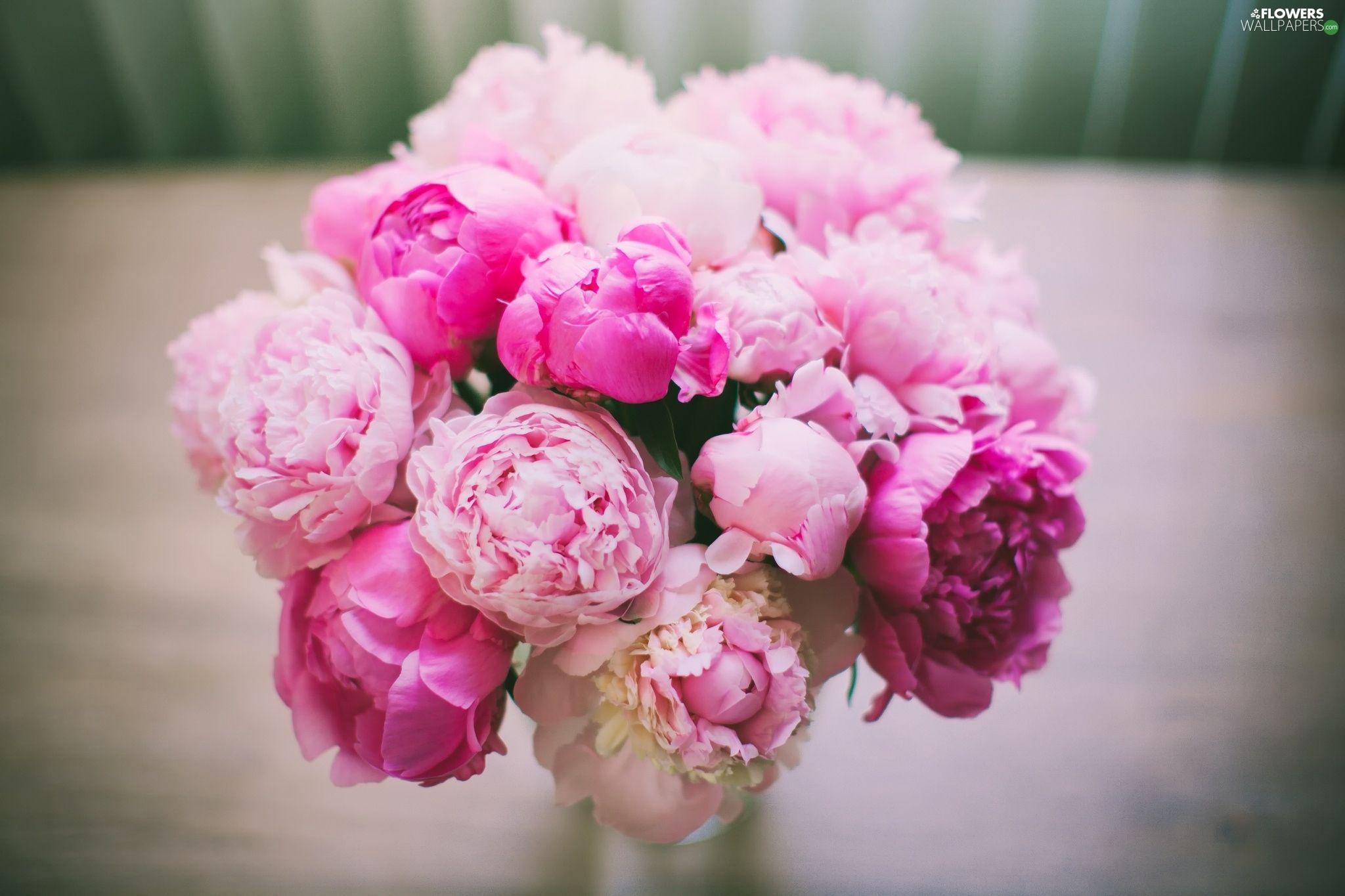 2048x1365 bouquet, Pink, Peonies, Flowers wallpaper: 2048x1365
