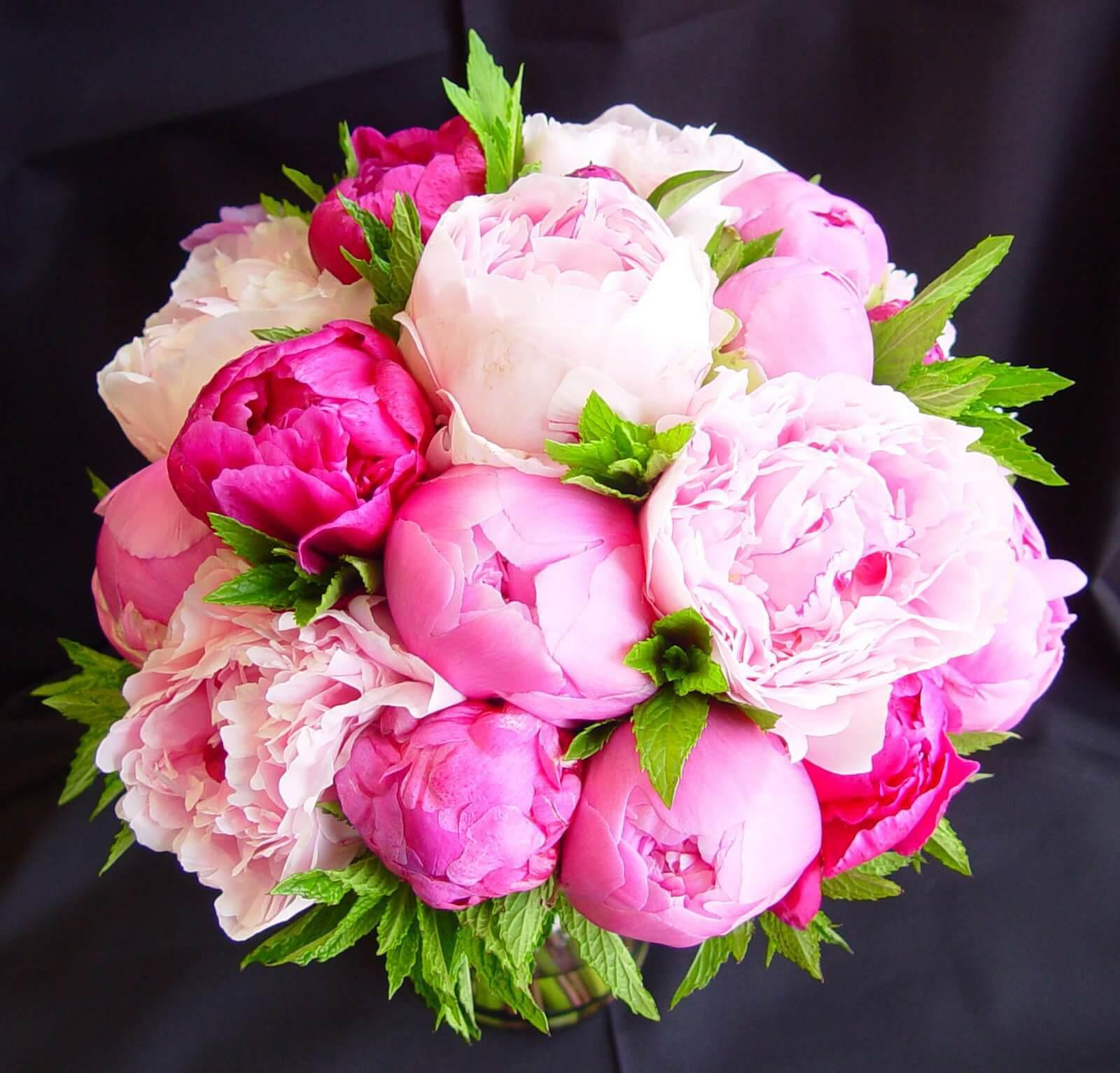 Peony Bouquet Wallpapers - Top Free Peony Bouquet Backgrounds ...