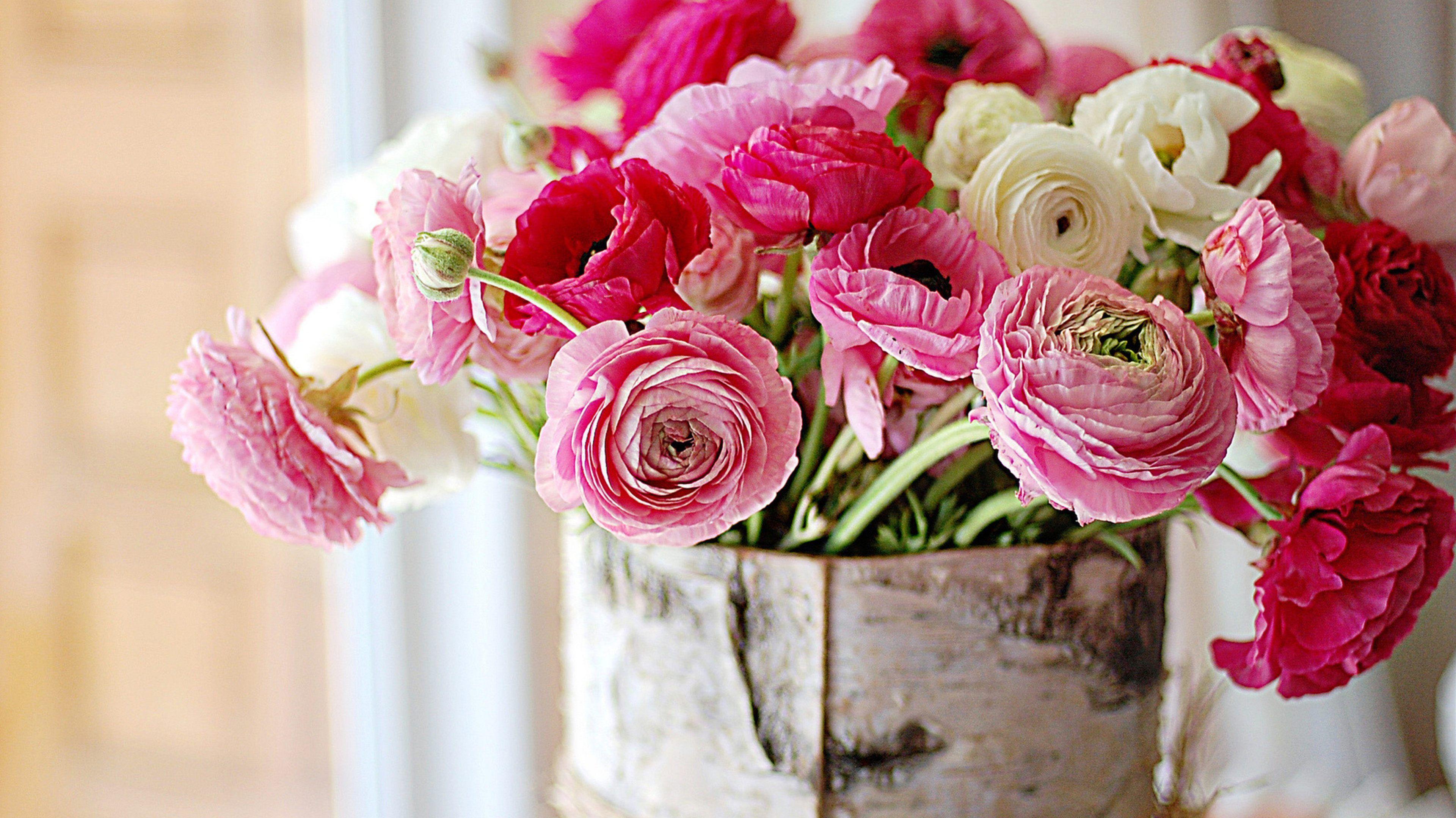 3840x2160 Peony HD Wallpaper